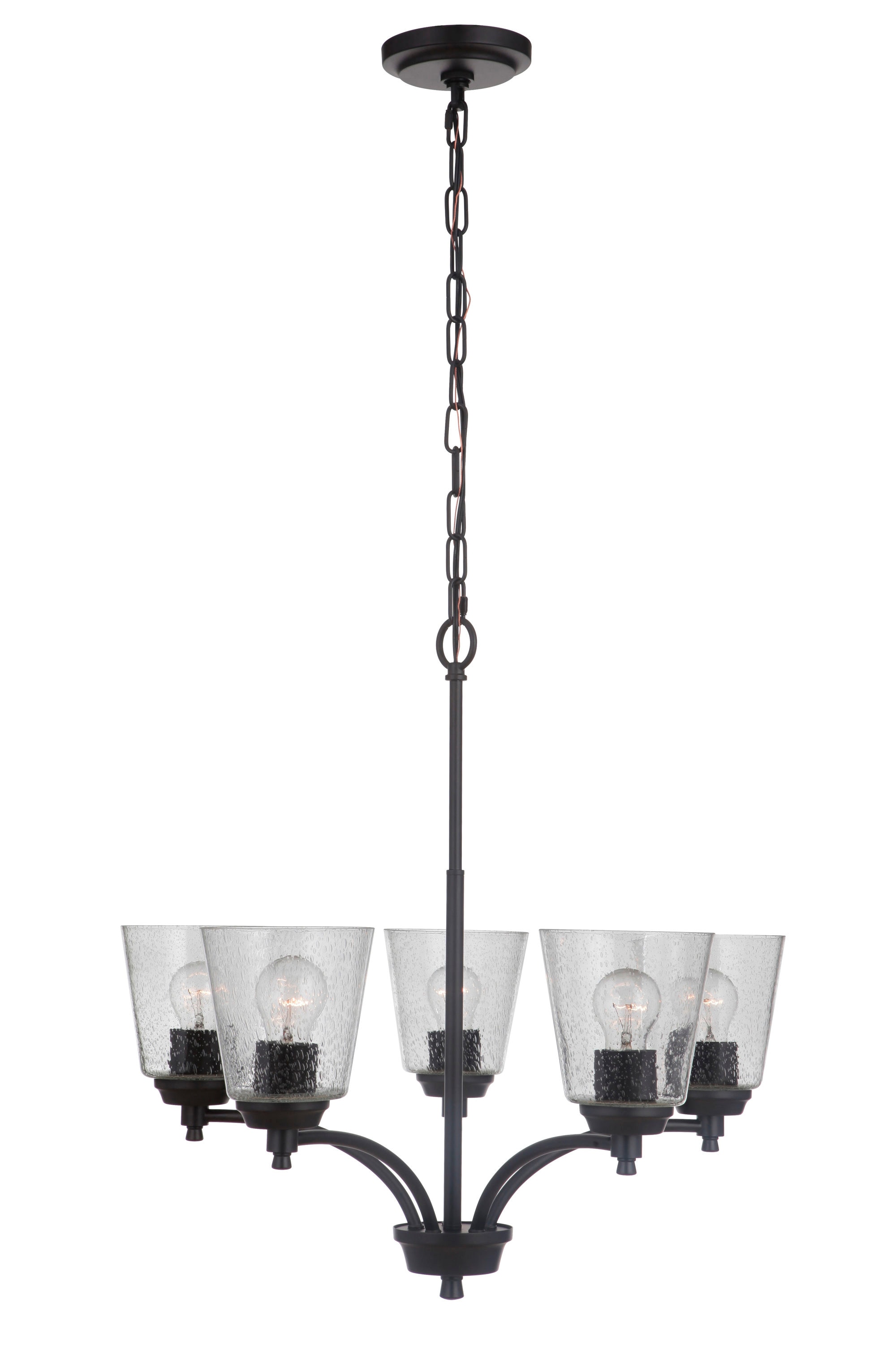 Elegant 24.5" Polished Nickel & Crystal Transitional Chandelier