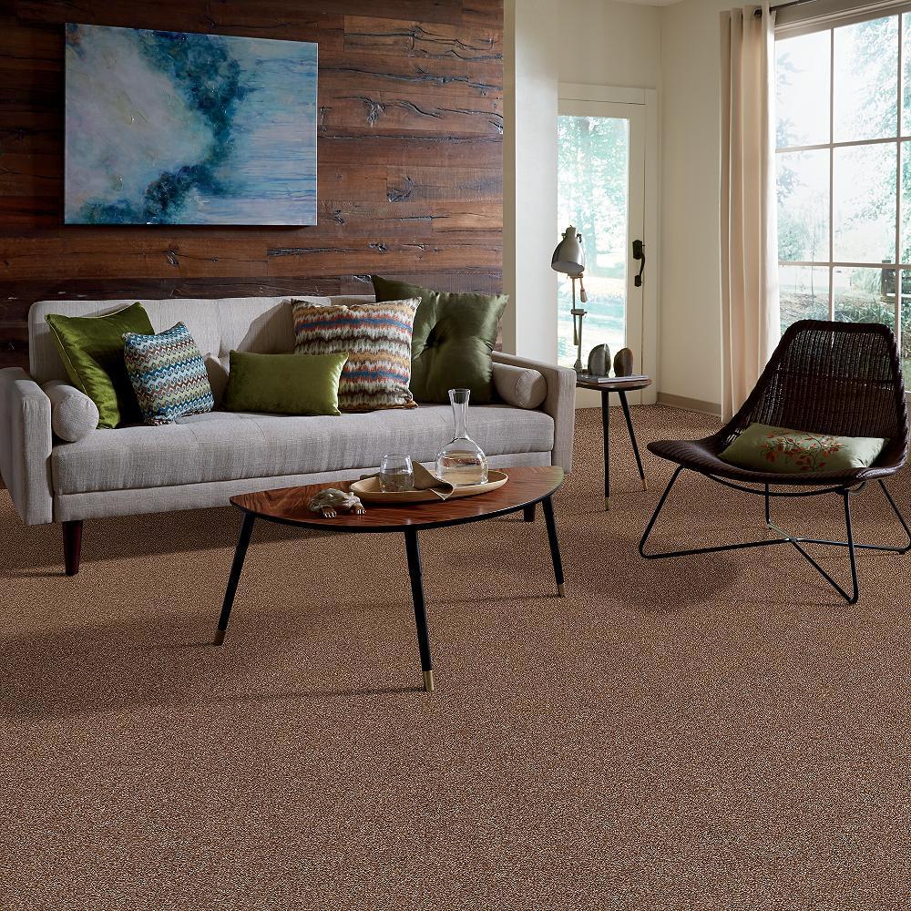 STAINMASTER B707300011 Carpet-Panel - View #5