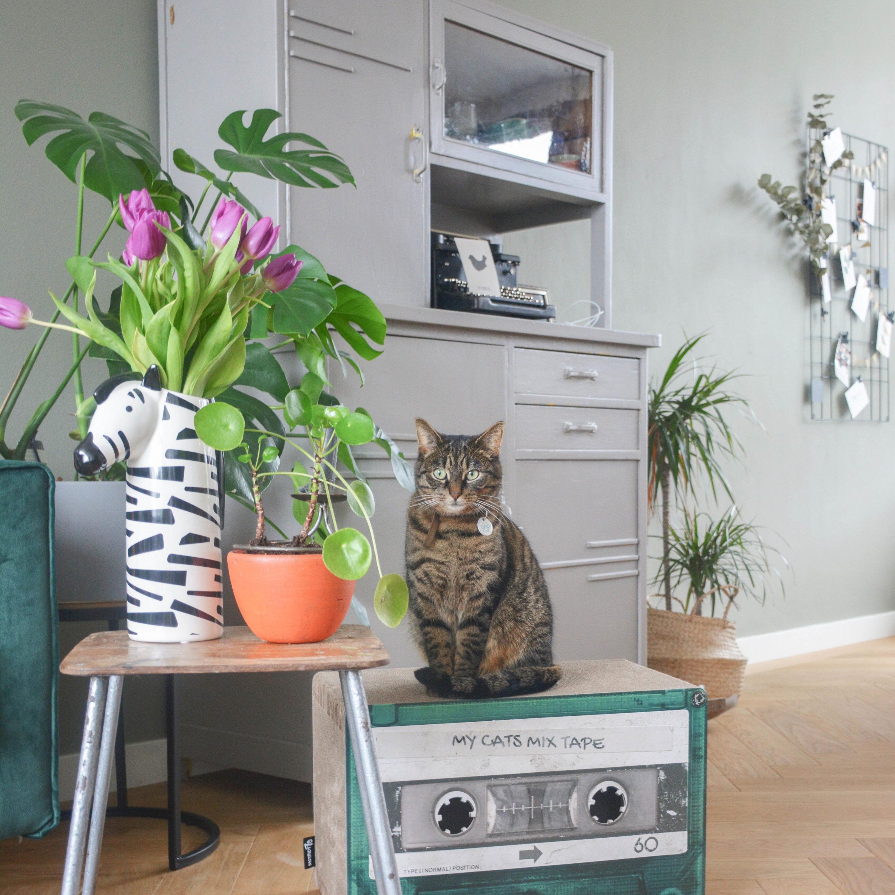 District70 5113 9.8-in x 15-in Green Cat Scratching Post