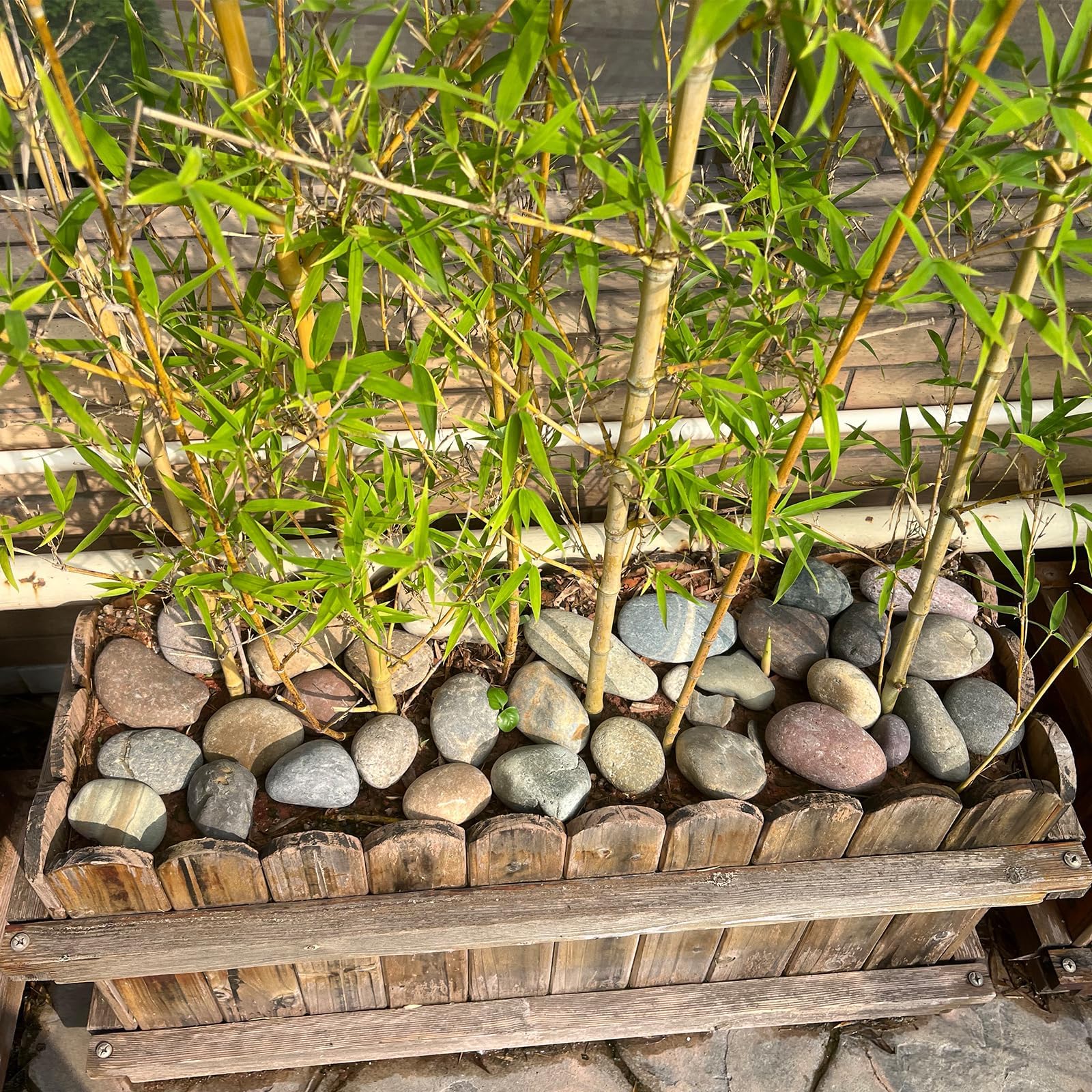 Afoxsos LAF0219R01 Landscaping-Rock - View #5