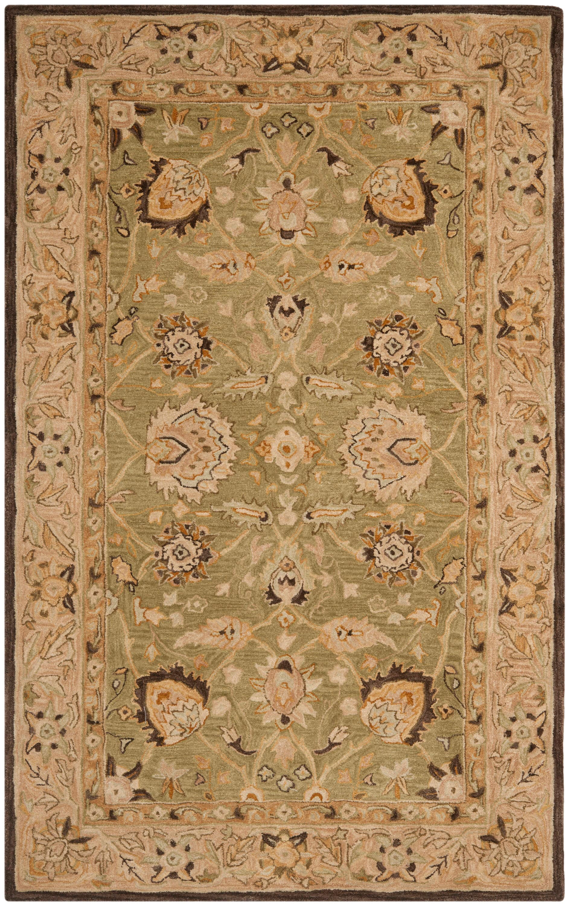 Safavieh AN512C-5 rugs - View #2