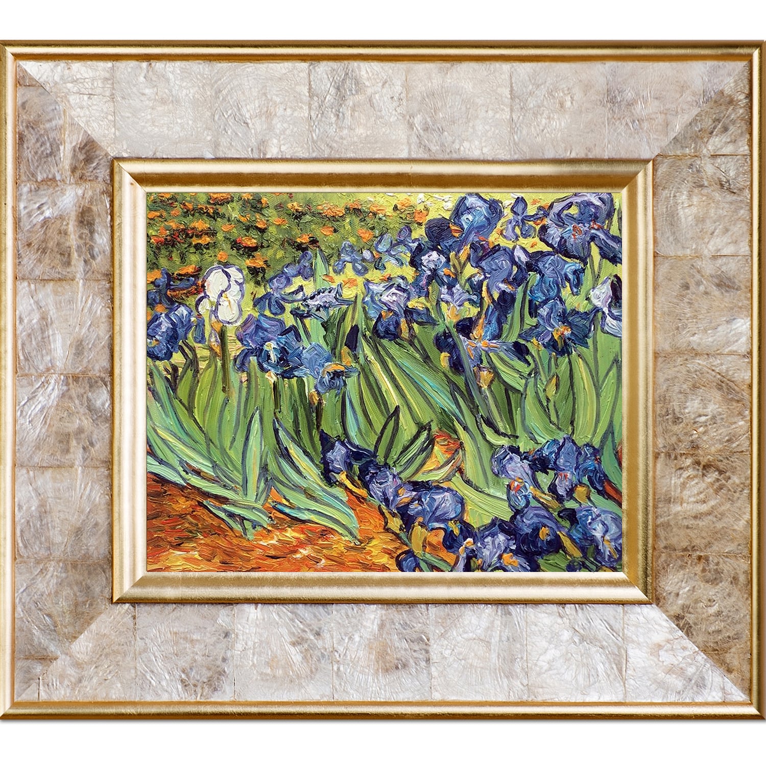 La Pastiche Irises Vincent Van Gogh Gold/Pearl Wood Framed 14-in H x 16 ...