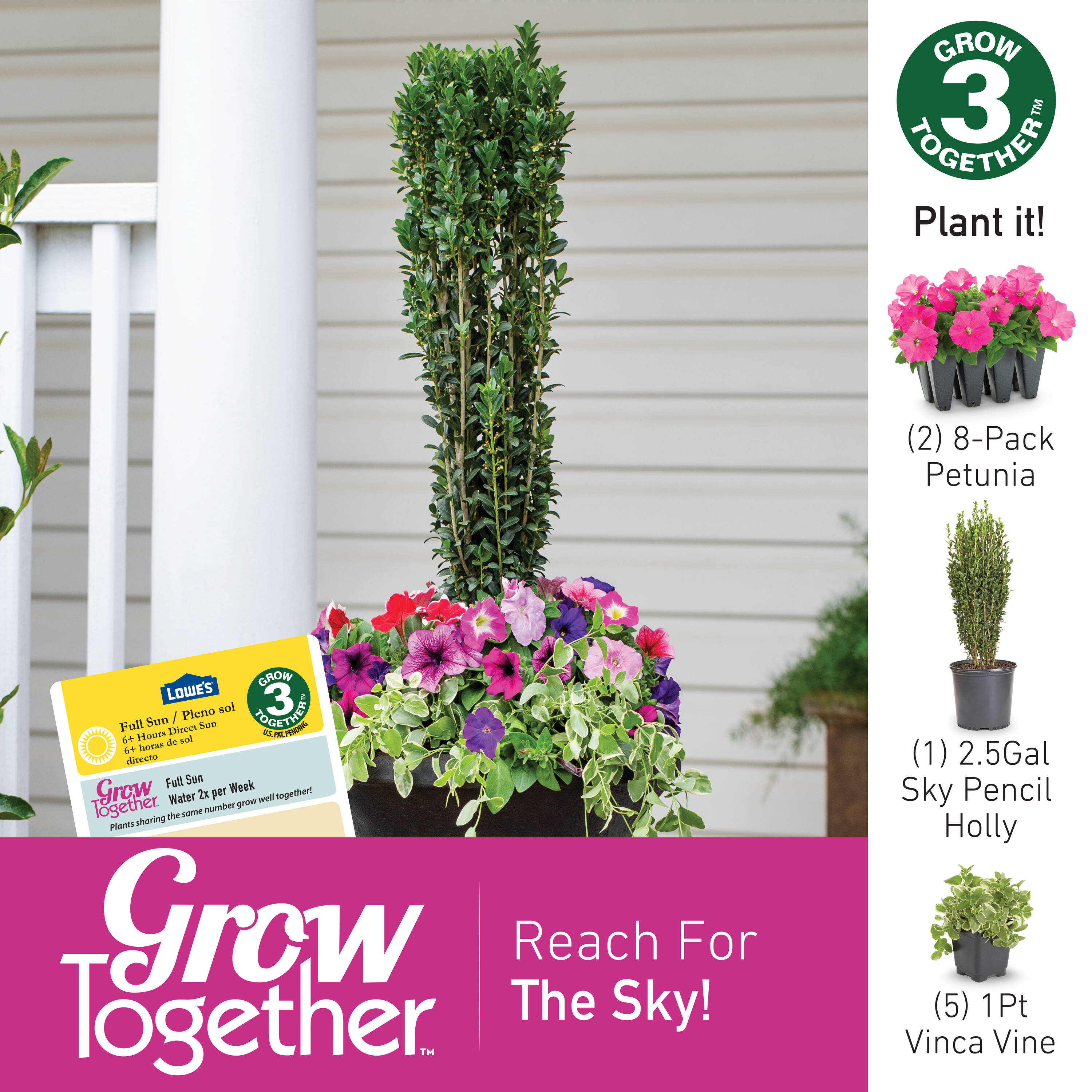 Metrolina Greenhouses 5018 annuals - View #4