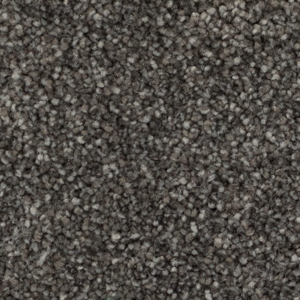 STAINMASTER LU483-W3918-1200-AB Quietude Edge of Darkness Gray 60-oz sq yard Solution-dyed polyester Plush Indoor Carpet