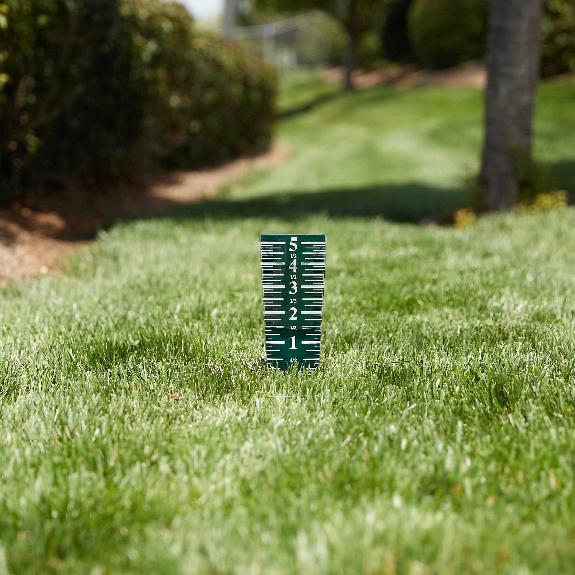 AcuRite 00854SBL Rain-Gauge - View #2