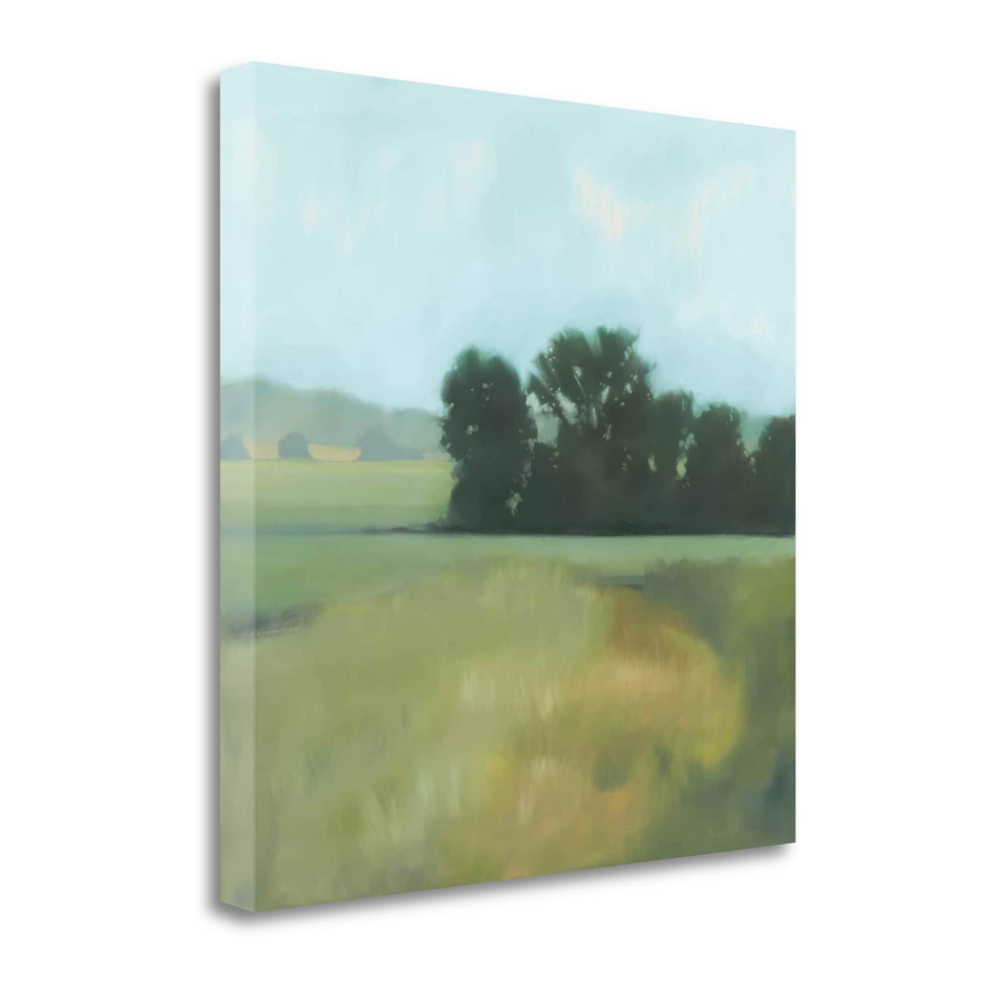 Tangletown Fine Art CA316529-3030C Late-Day Megan Lightell 30-in H x 30-in W Landscape Print on Canvas