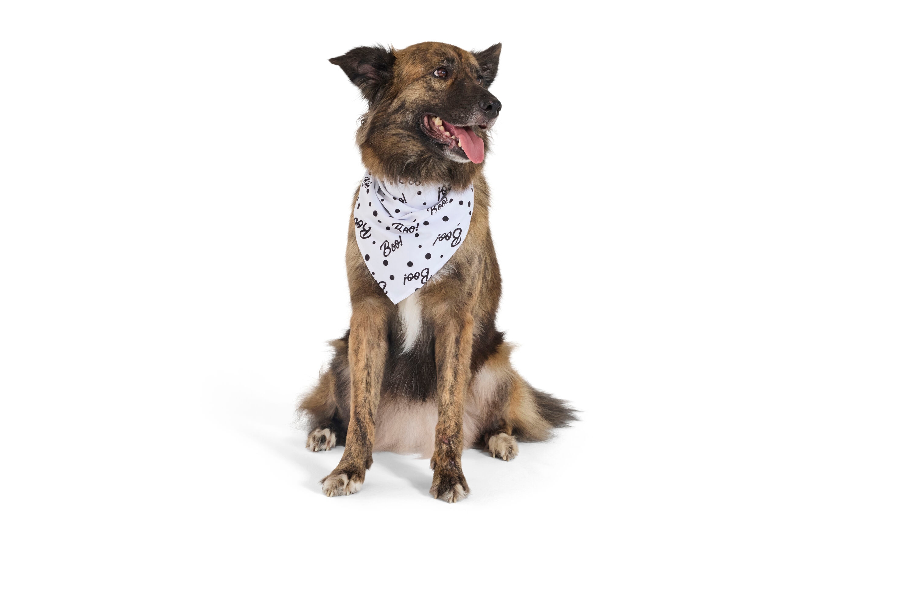 Heart & Herd YB26106 Dog-Clothing-Acc - View #6