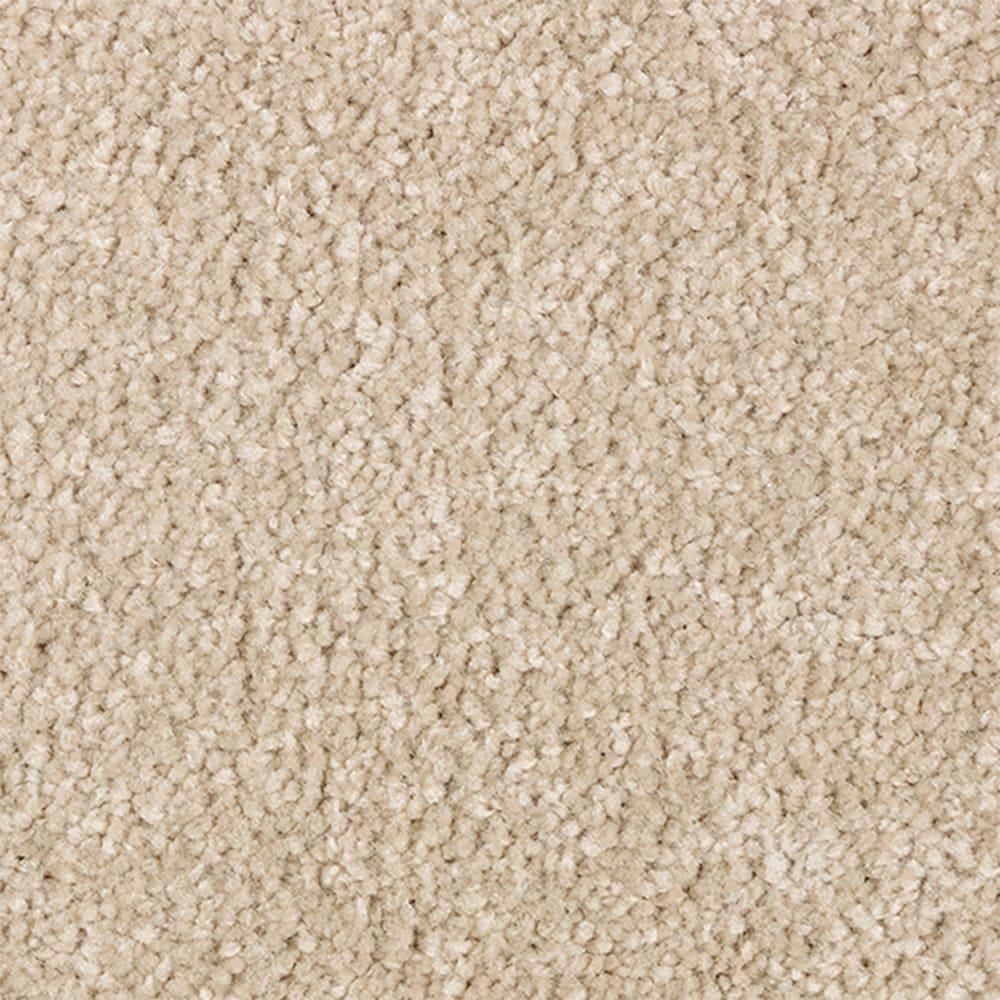 STAINMASTER STP66-15-L015 Serenity Stride I Vintage Brown 50-oz sq yard Polyester Textured Indoor Carpet