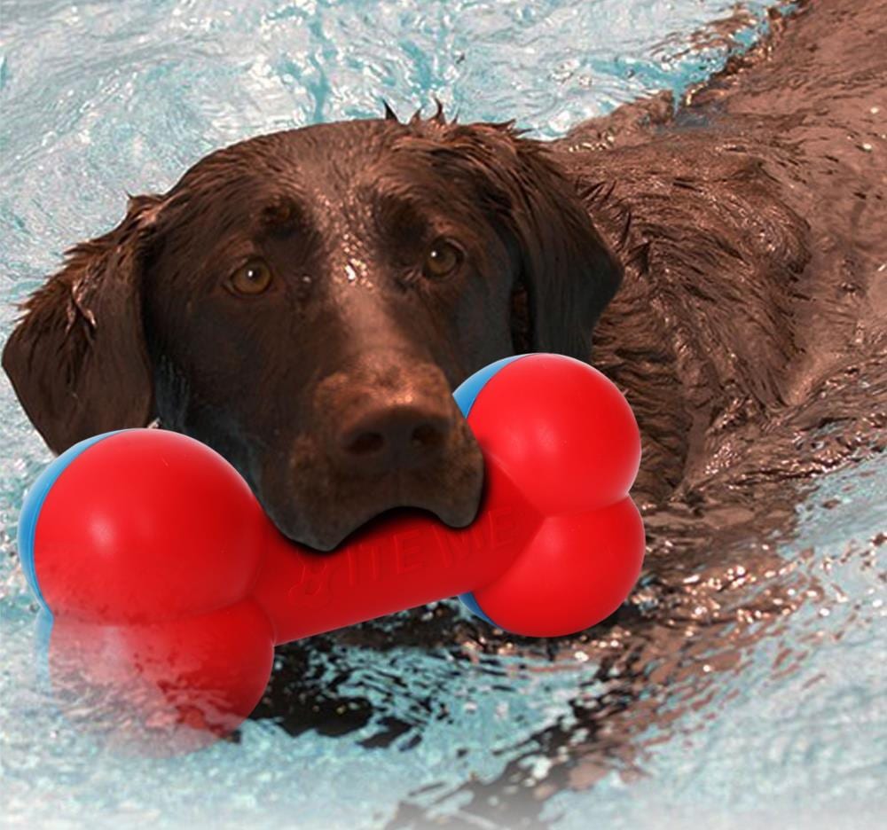 Rubber Toss and Retrieve Dog Toy in Blue | - Pet Life DT19RDB