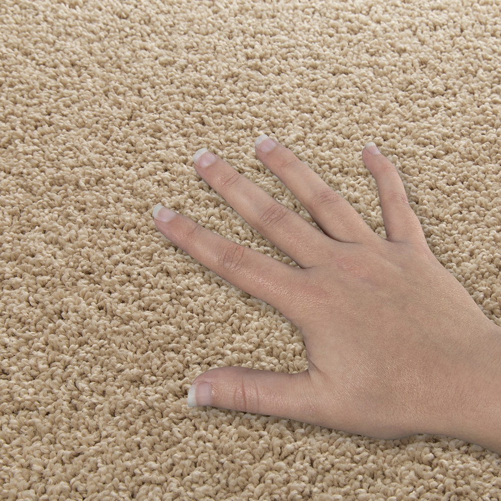 STAINMASTER SS014-15-L004 Carpet-Panel - View #4