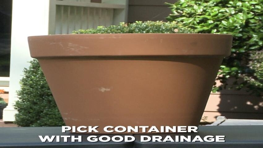 A thumbnail for the video
