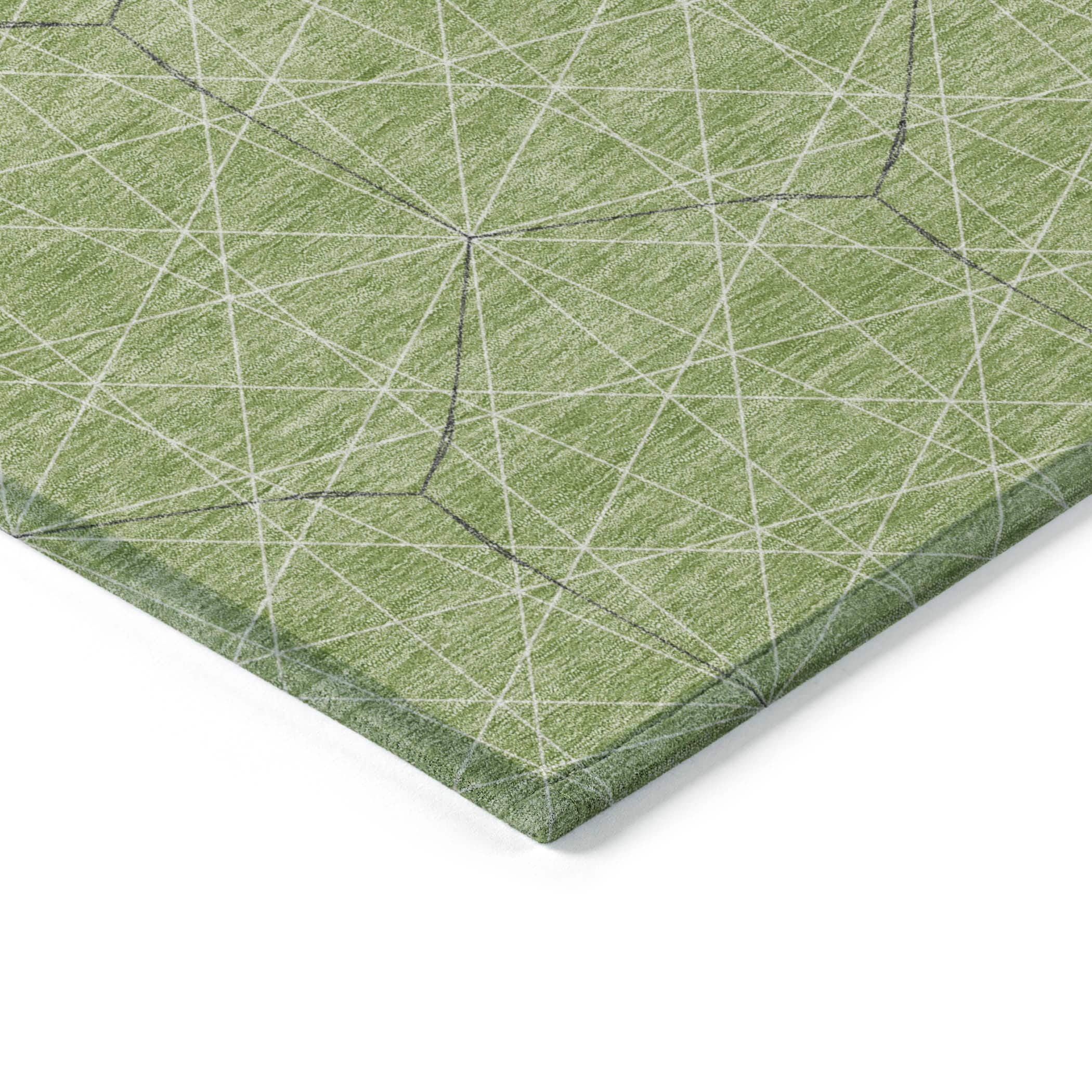 Addison Rugs ACN987GE30X46 rugs - View #4