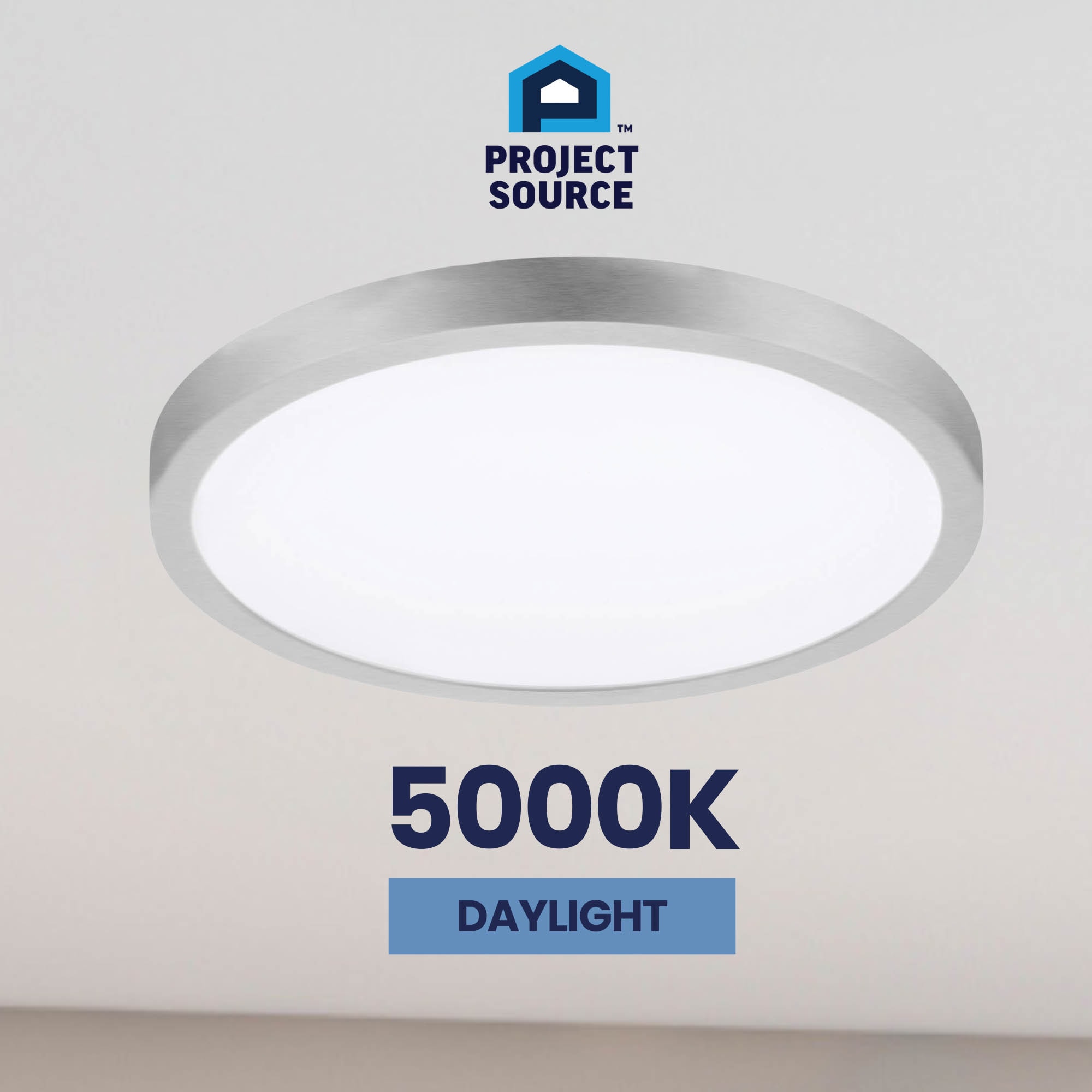 Project Source 43543 flushmounts - View #12