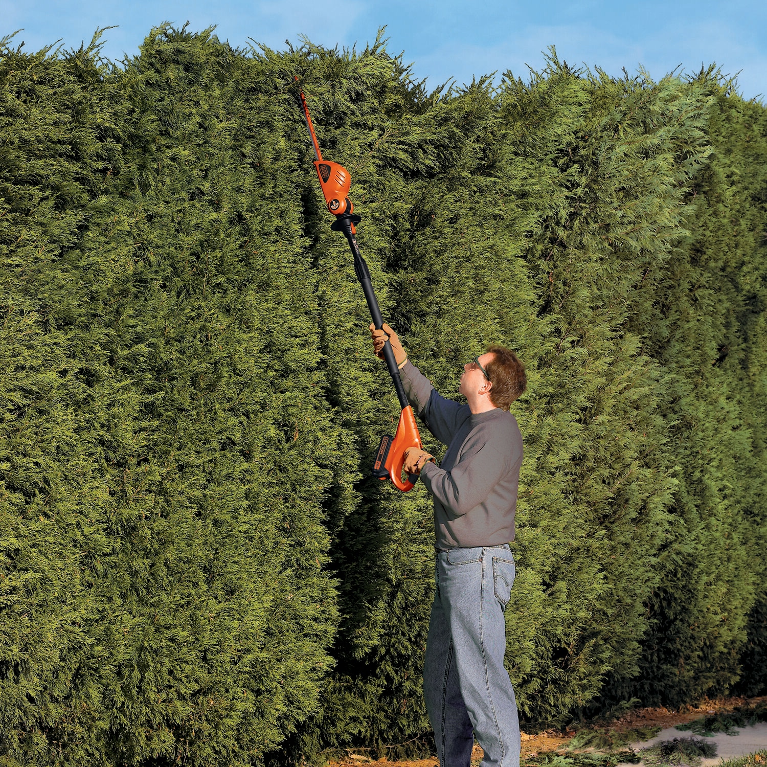  BLACK+DECKER 20V MAX Cordless Pole Hedge Trimmer, 18-Inch  (LPHT120) : Power Hedge Trimmers : Patio, Lawn & Garden