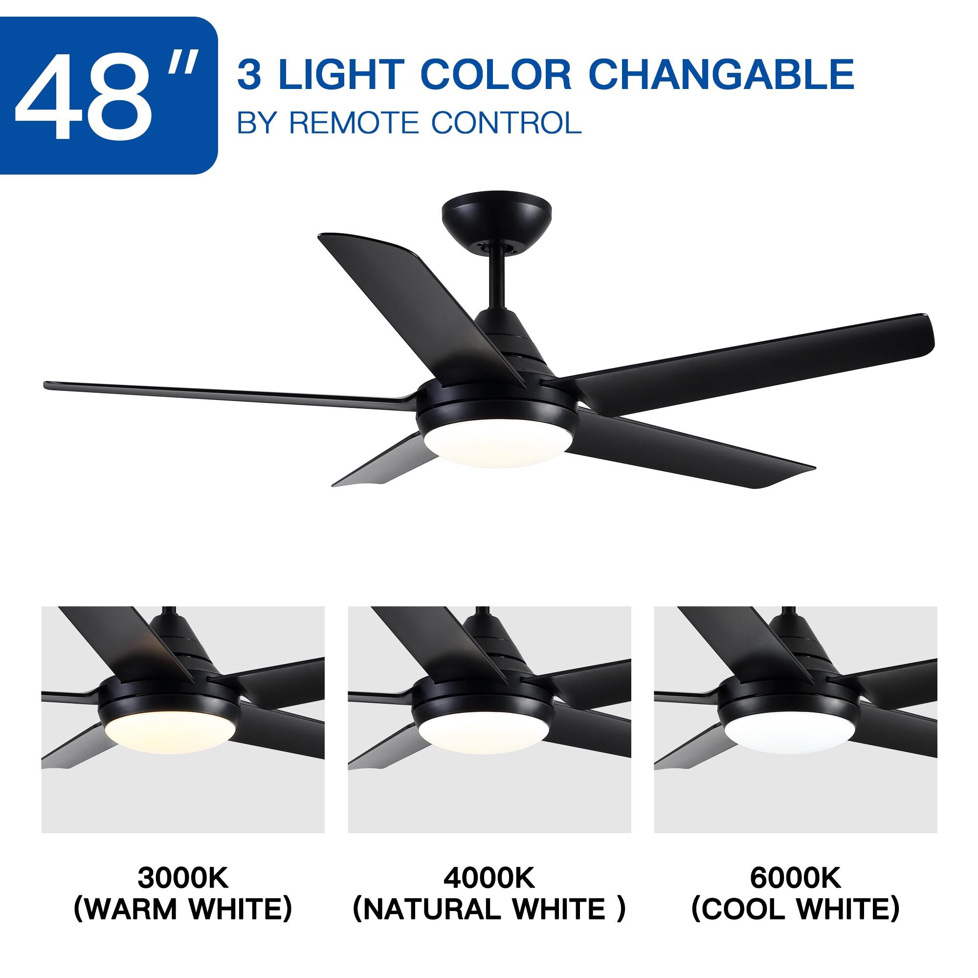 Bayfeve BFYH-5927 Ceiling-Fans - View #8