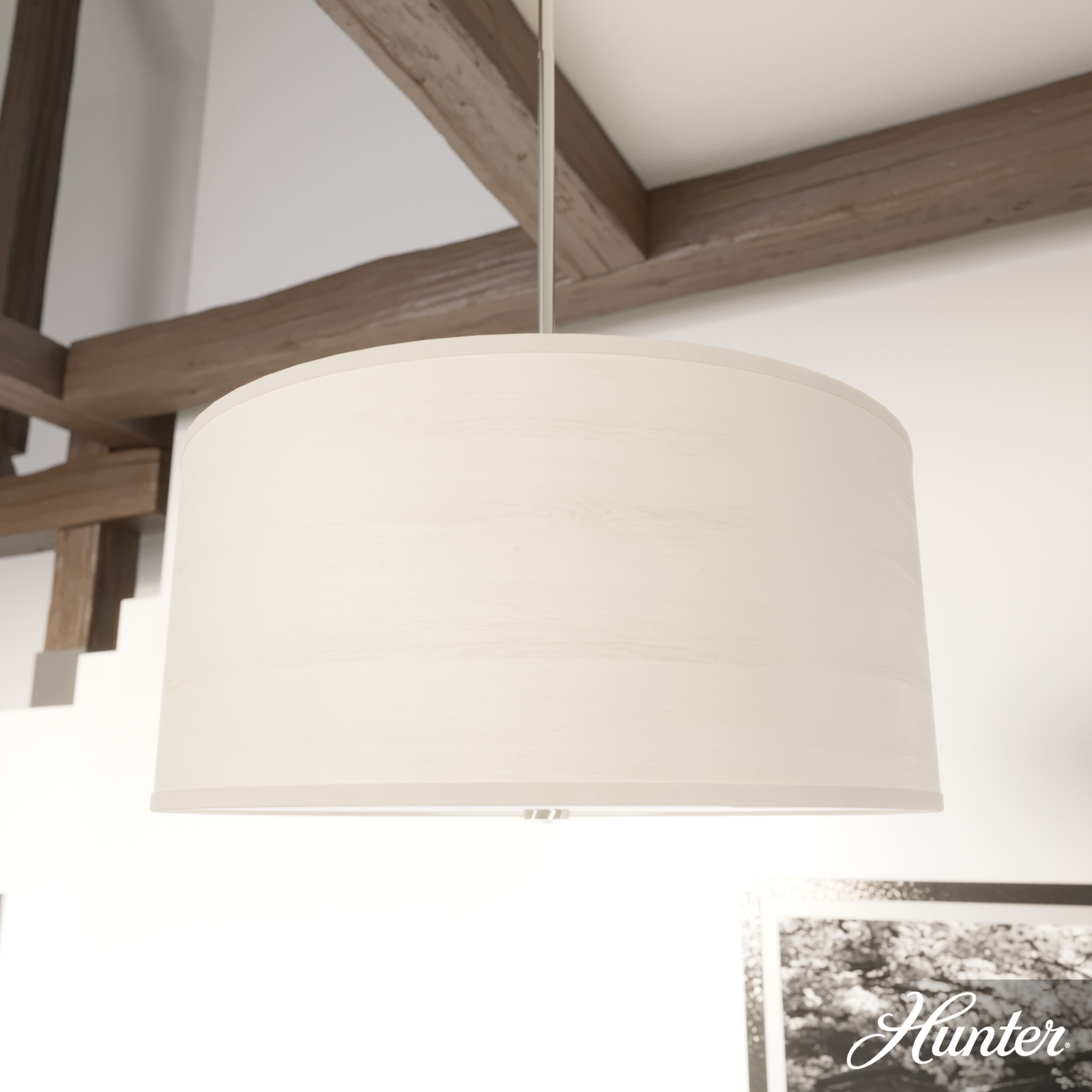 Hunter 19380 Pendant-Lights - View #3