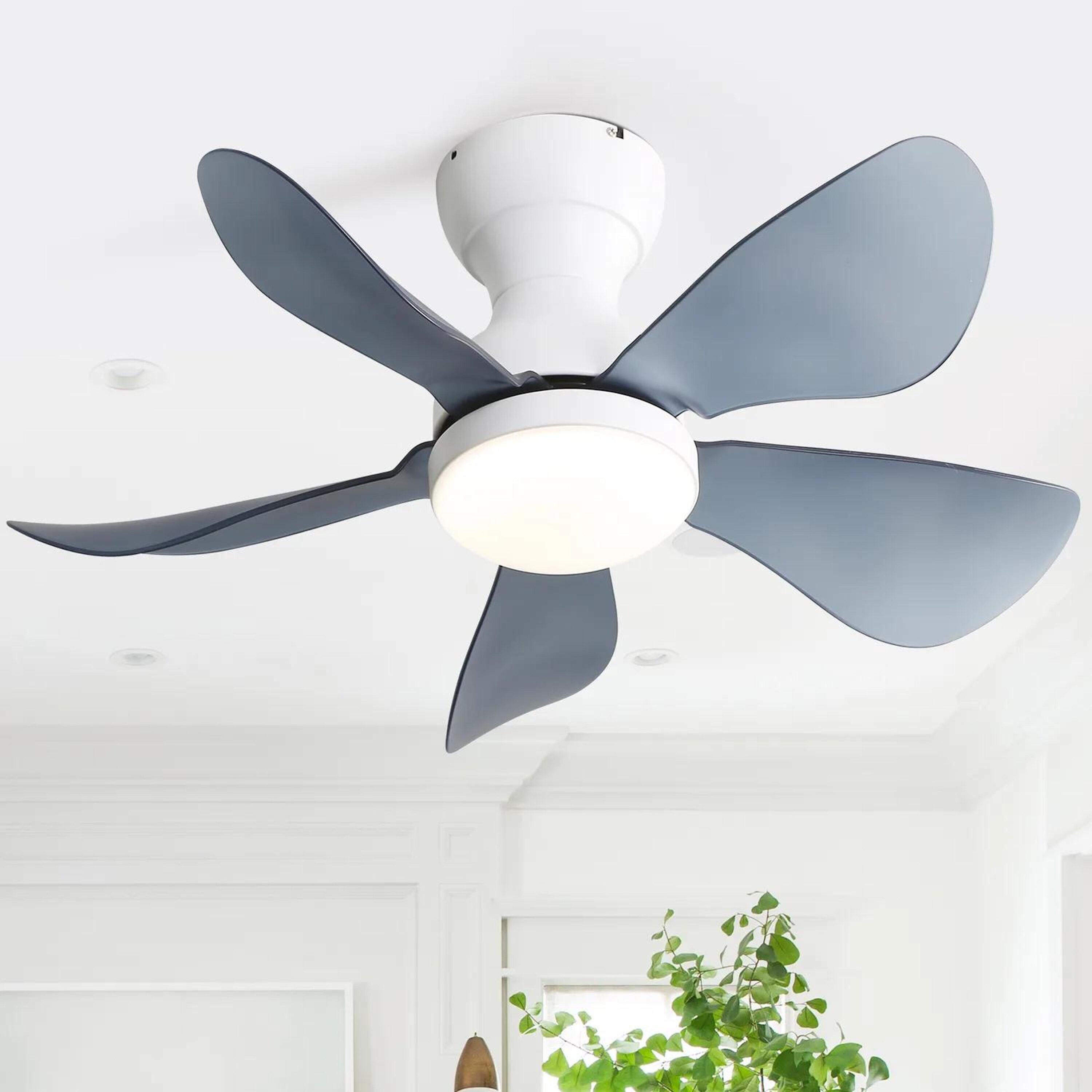 Bayfeve BFKS-64331-CF Ceiling-Fans - View #2