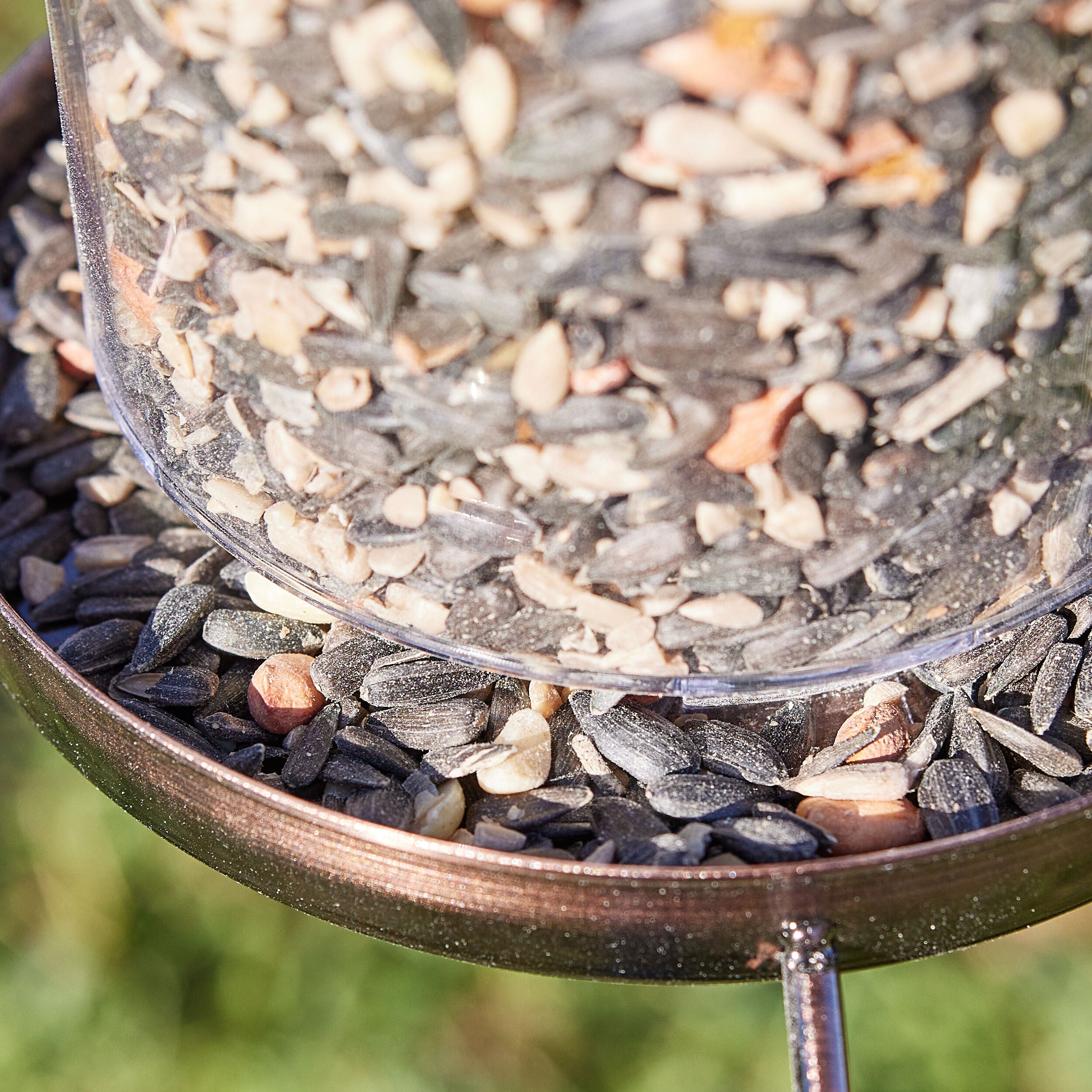 National Audubon Society 001693 Bird-Squirrel-Food - View #3