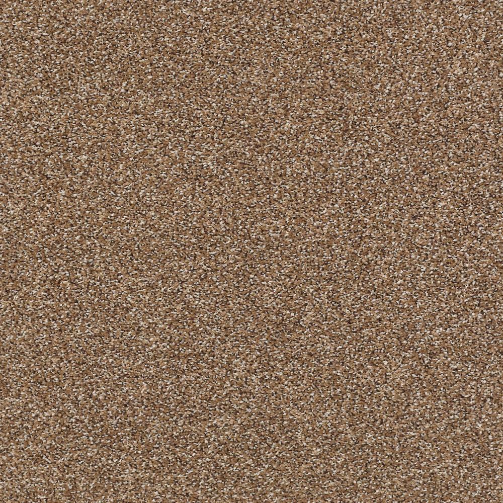 STAINMASTER B707200008 Essentials Ignite Blaze Textured Indoor Carpet