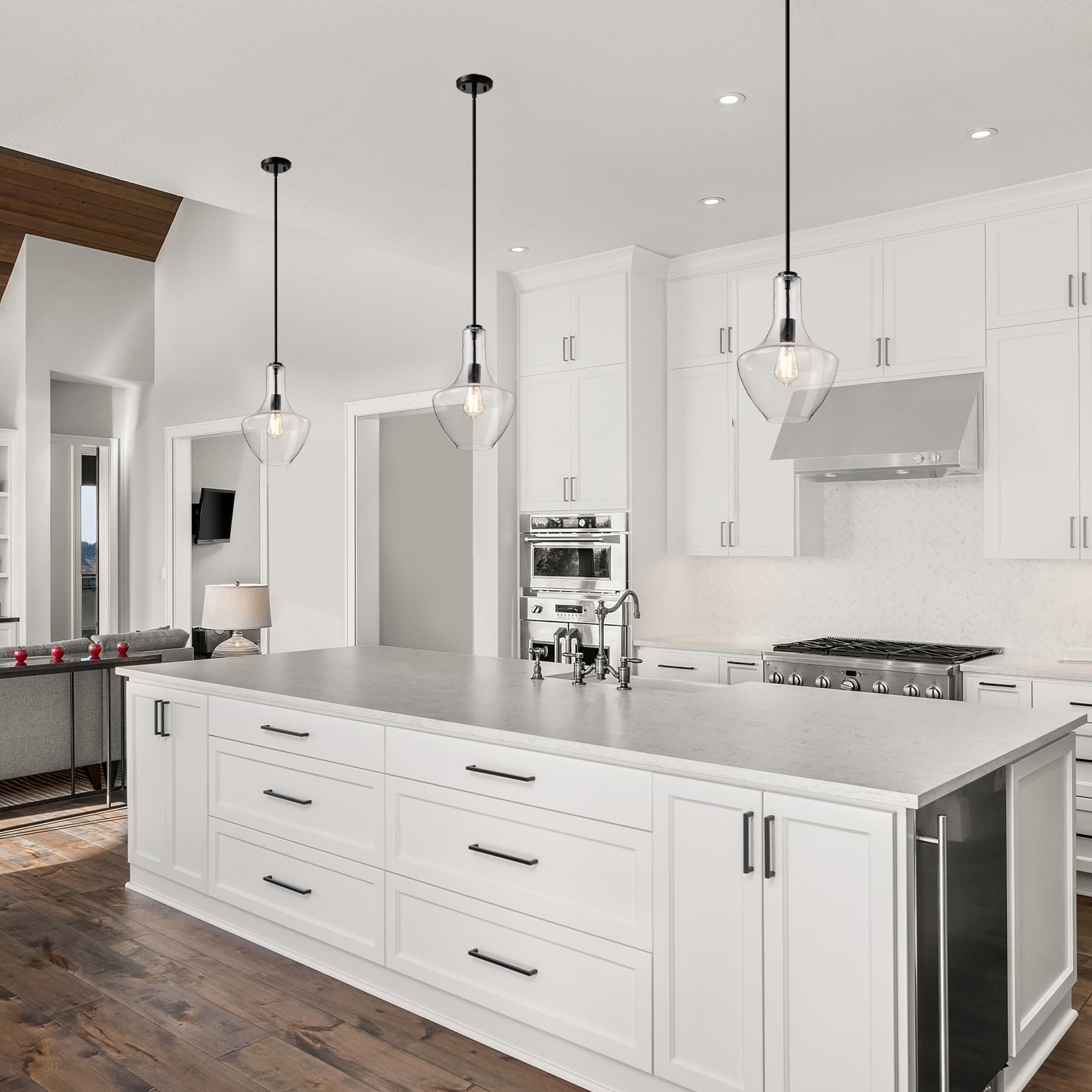 Edvivi EPJ3885BK Pendant-Lights - View #2