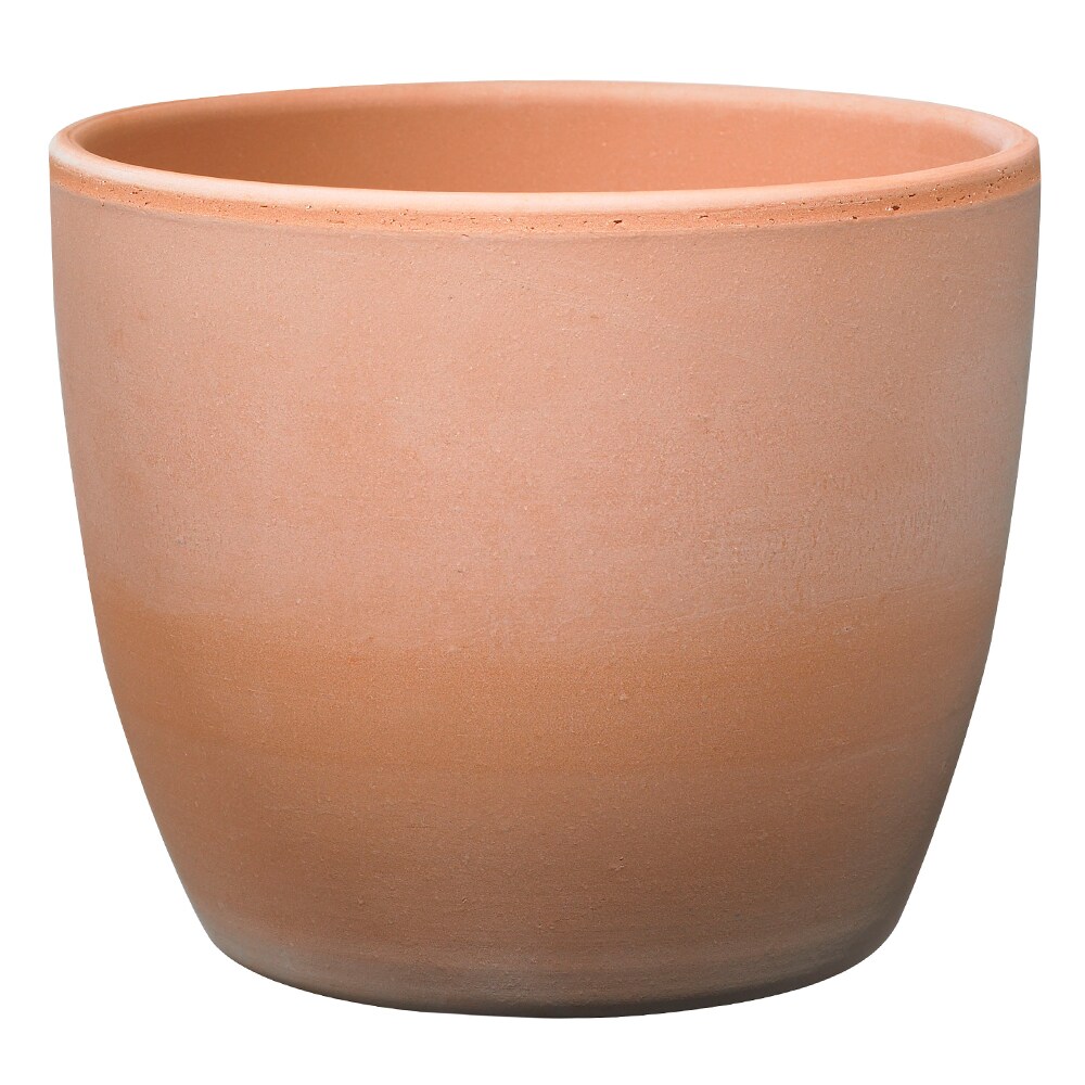  063800142113-4L 6-in W x 5-in H Terracotta Ceramic Planter