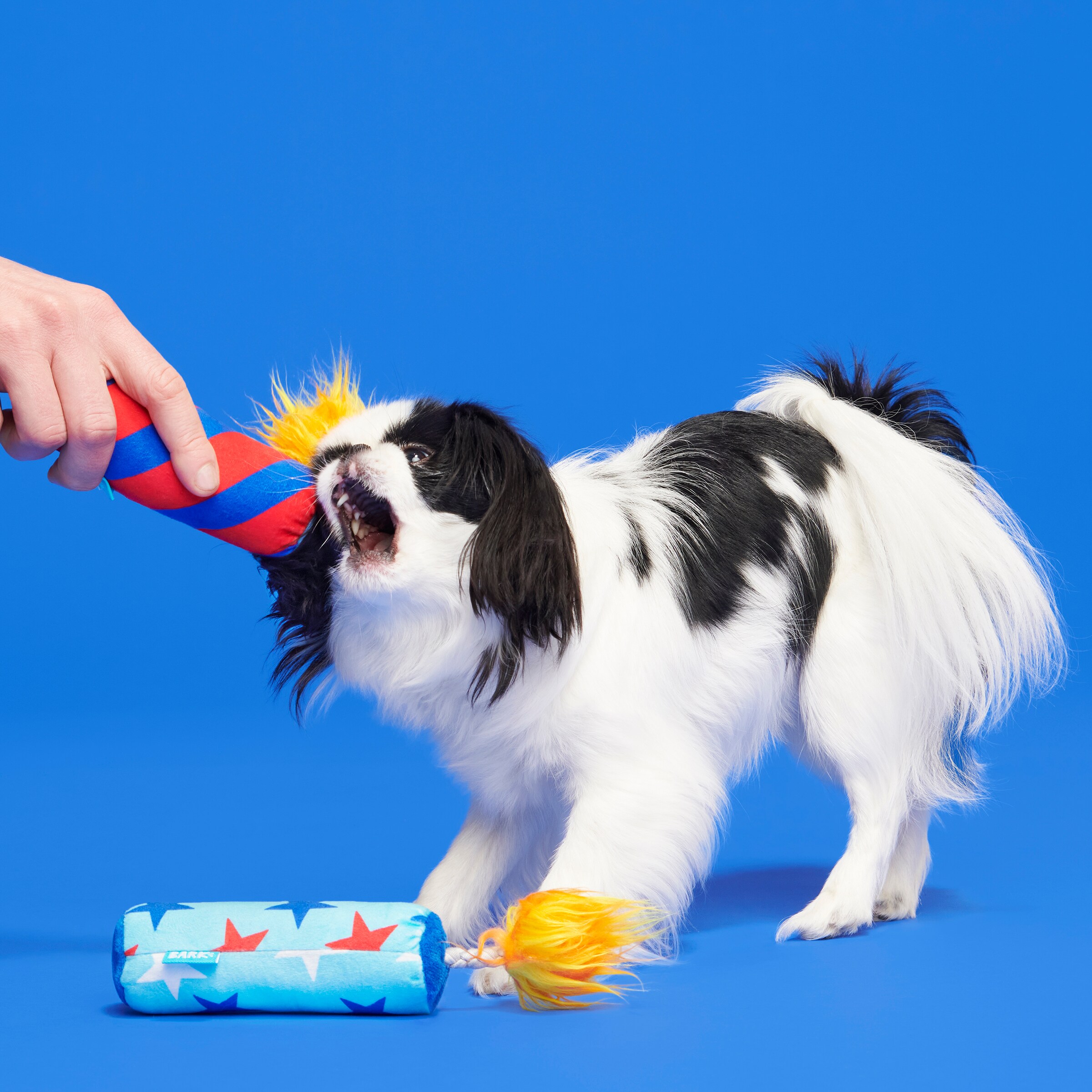 BARK 214270 Dog-Toys - View #5