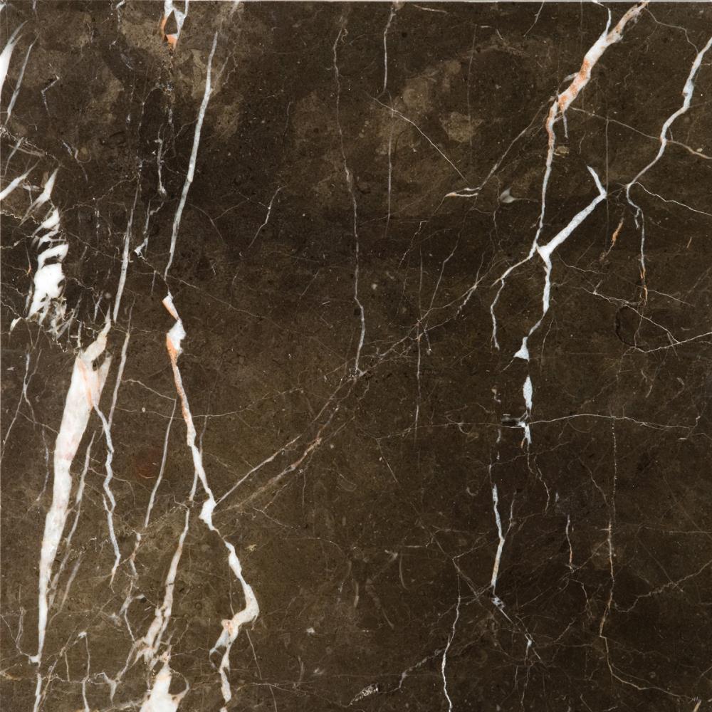 Emser M05STCRBR1212 ST CROIX BROWN St Croix Brown 12-in x 12-in Polished Natural Stone Marble Floor and Wall Tile