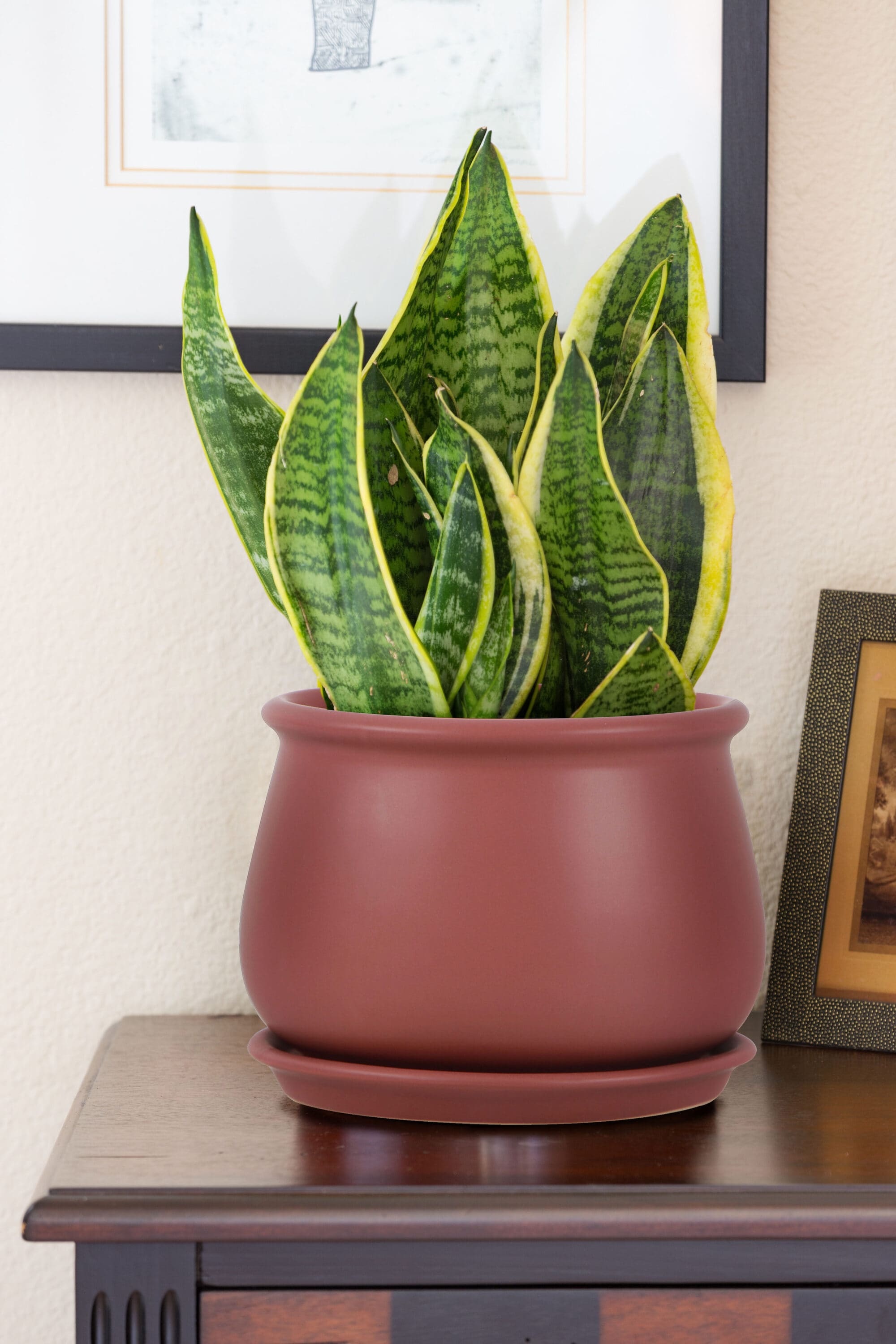 allen + roth CR01890S-10R Planter-Window-Box - View #9