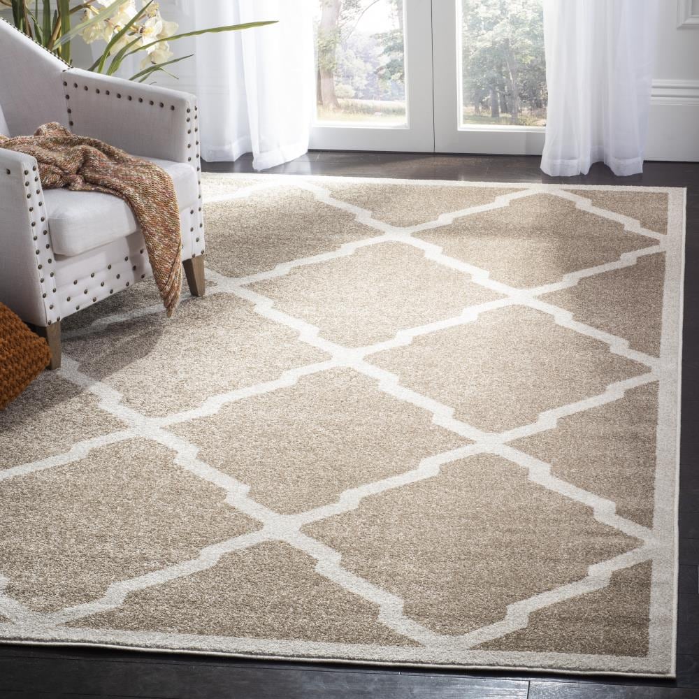 Safavieh AMT421S-9SQ rugs - View #2