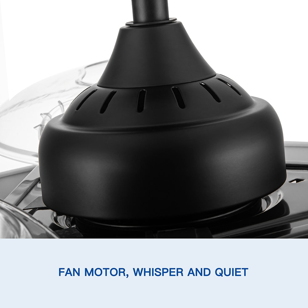 Sunrinx MG40-29-FL Ceiling-Fans - View #15