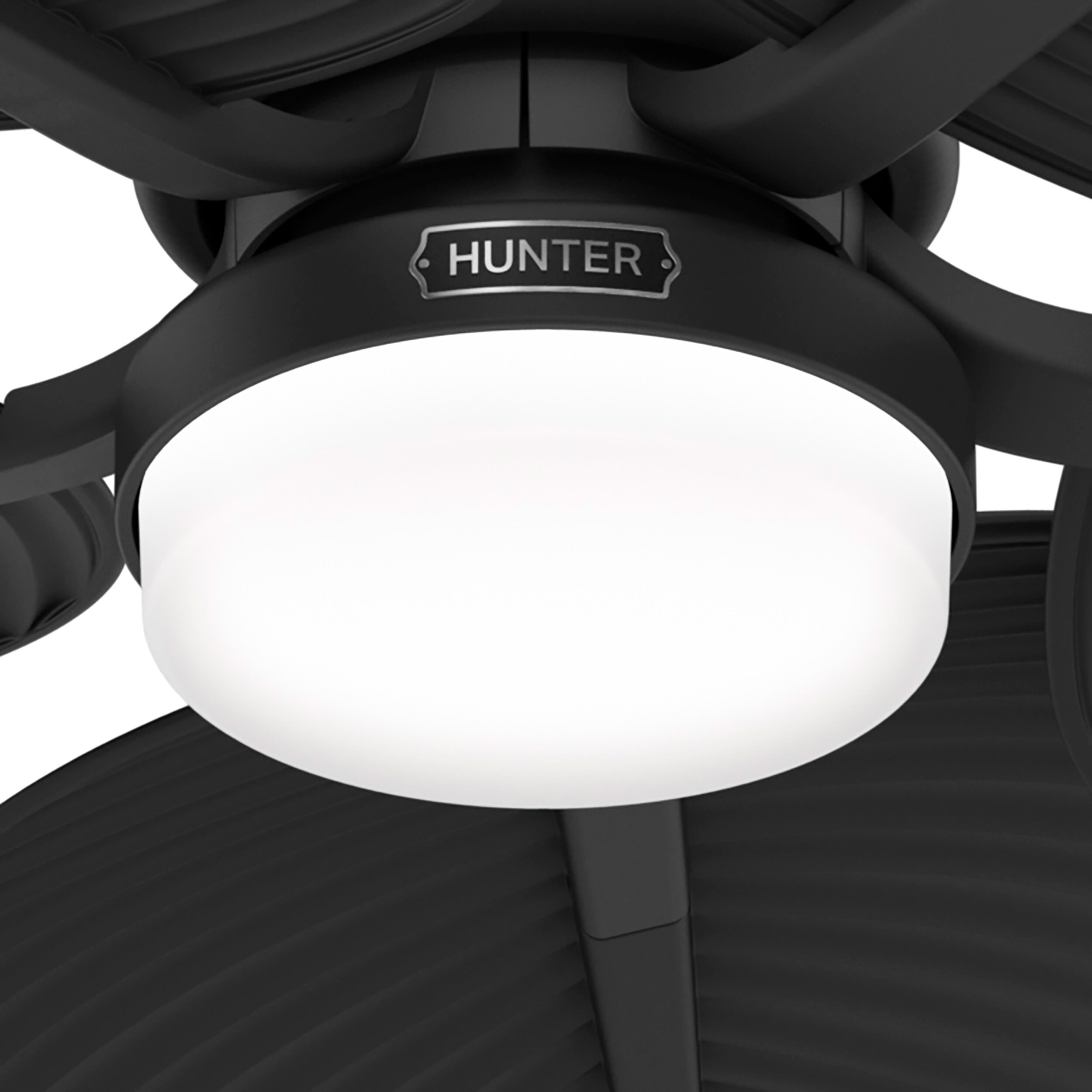 Hunter 53013 Ceiling-Fans - View #9