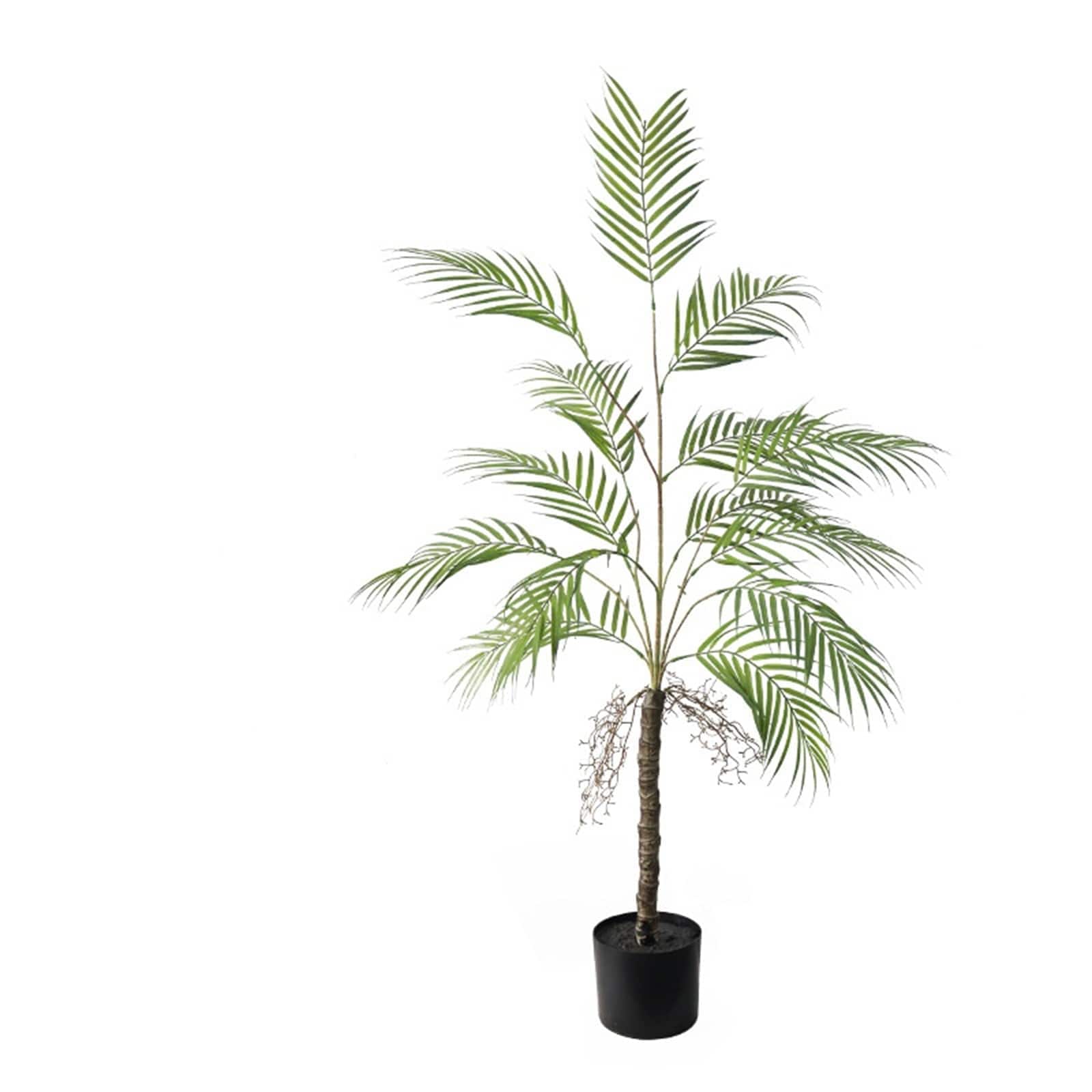 Armen Living WLS-PHO-34N77Q3C Artificial Palm Tree 4ft/5ft Tall Decorative Fake Palm Tree In Pot Large Fake Palm Tree Home Indoor Outdoor Corner Decor For Living Room Office Patio