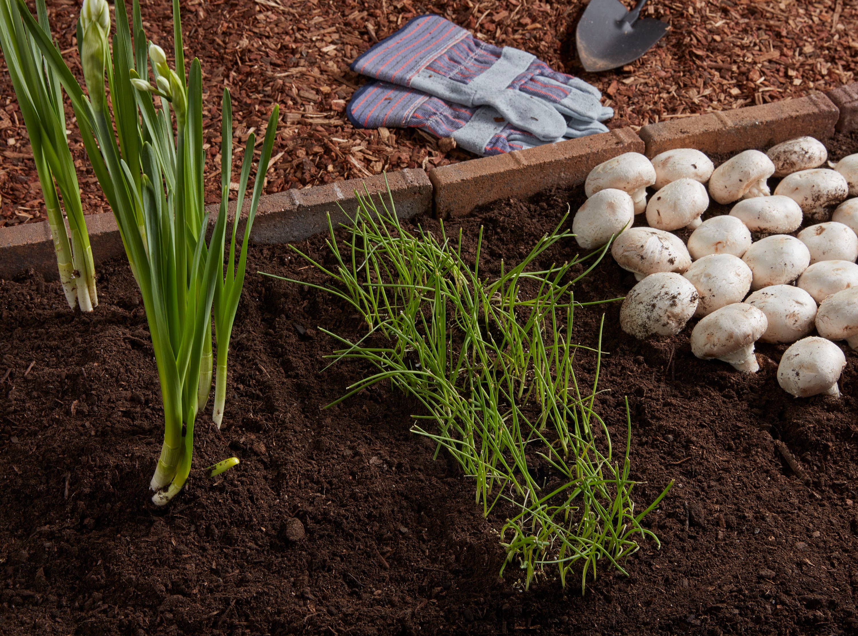 Garden Time GT 13040 Soil-Conditioner - View #2