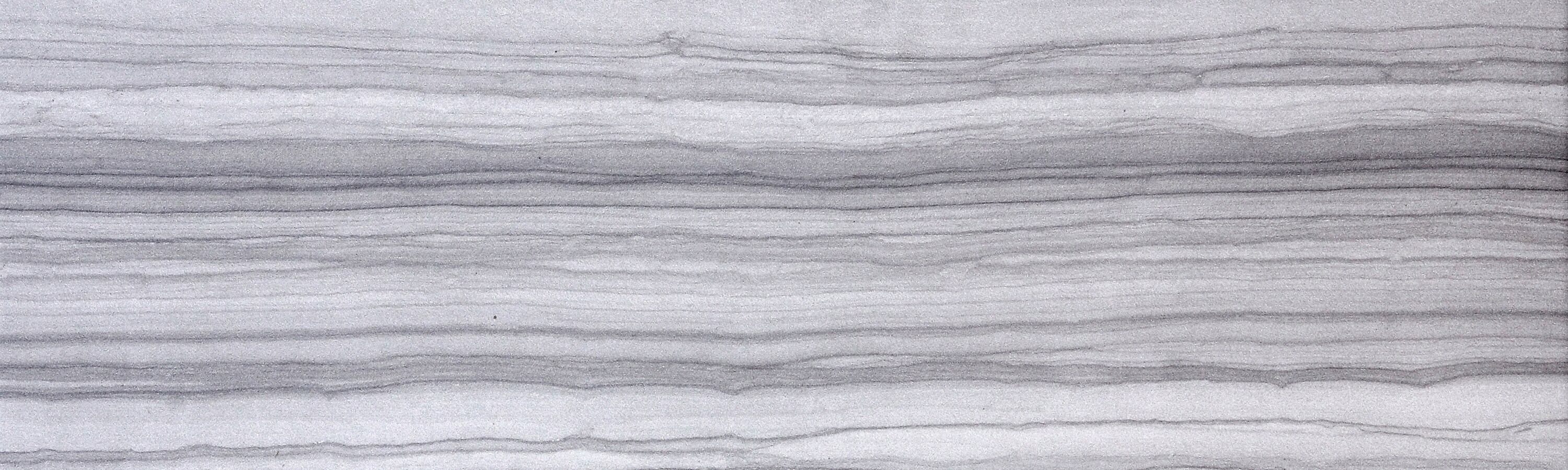Emser Chronicle Record Porcelain Bullnose Tile (3-in x 24-in)