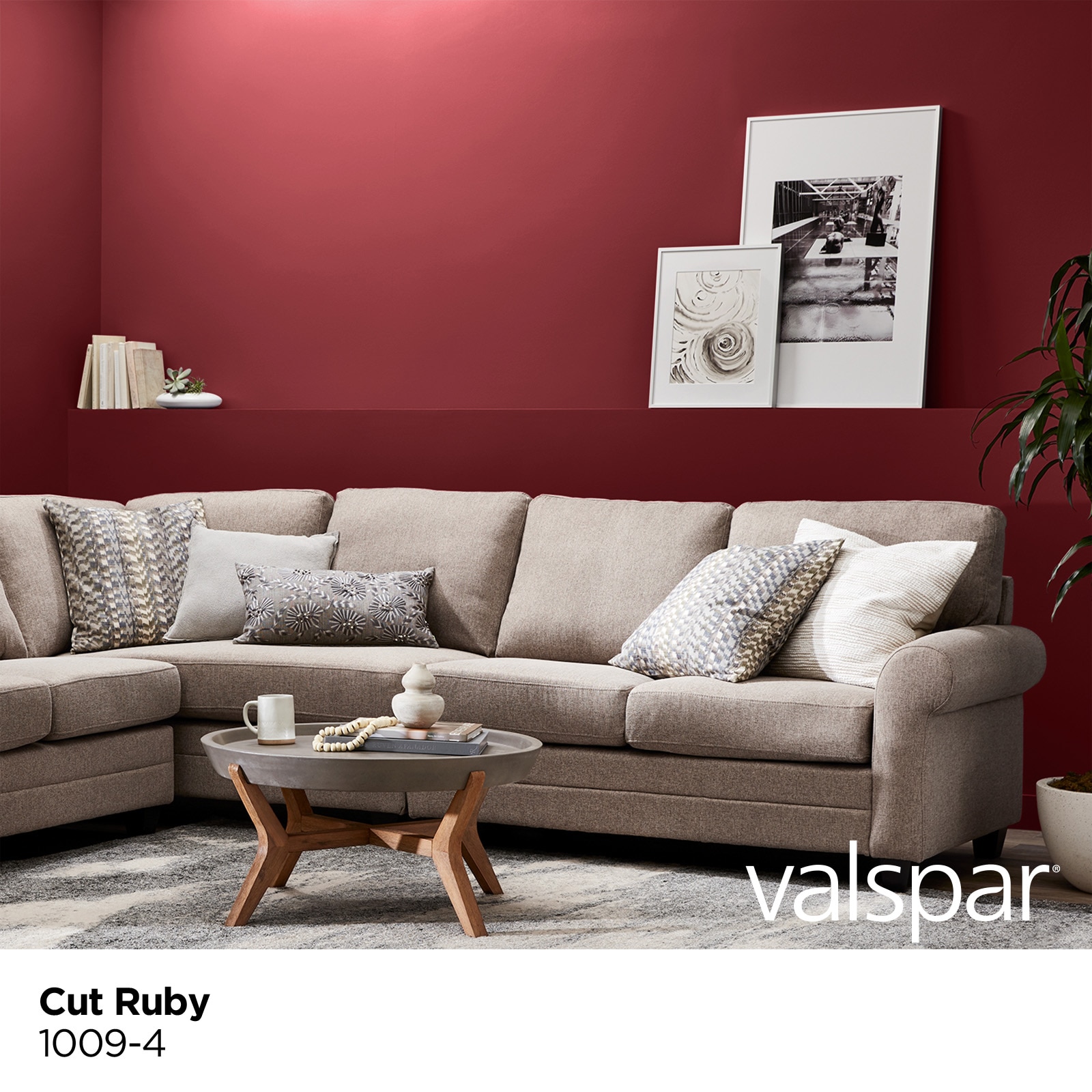 Valspar 1009-4-33854 Int-Ext-Paint - View #2