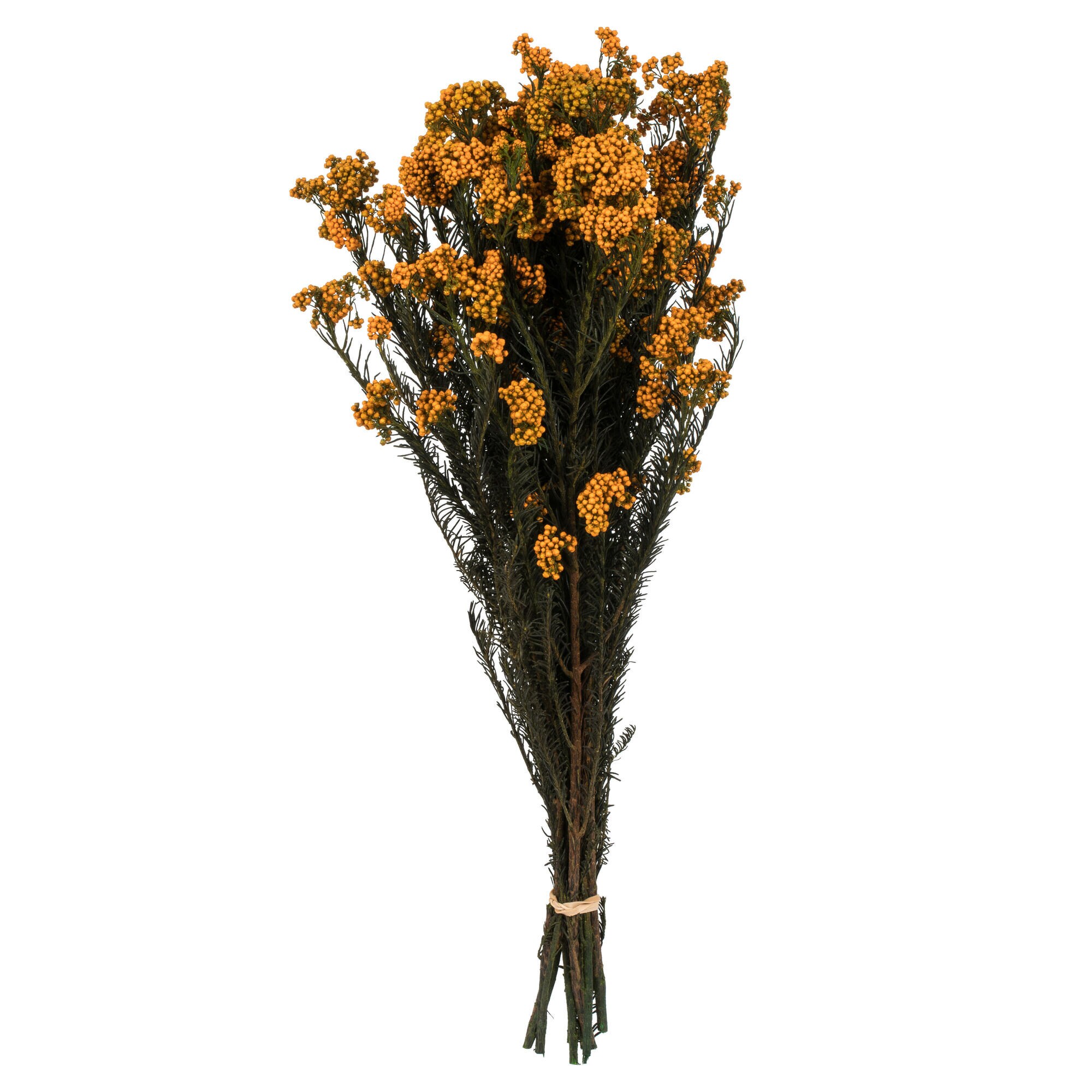 Vickerman H1RCF700-1 16-Inches Yellow Indoor Desktop Mixed greenery Artificial plant