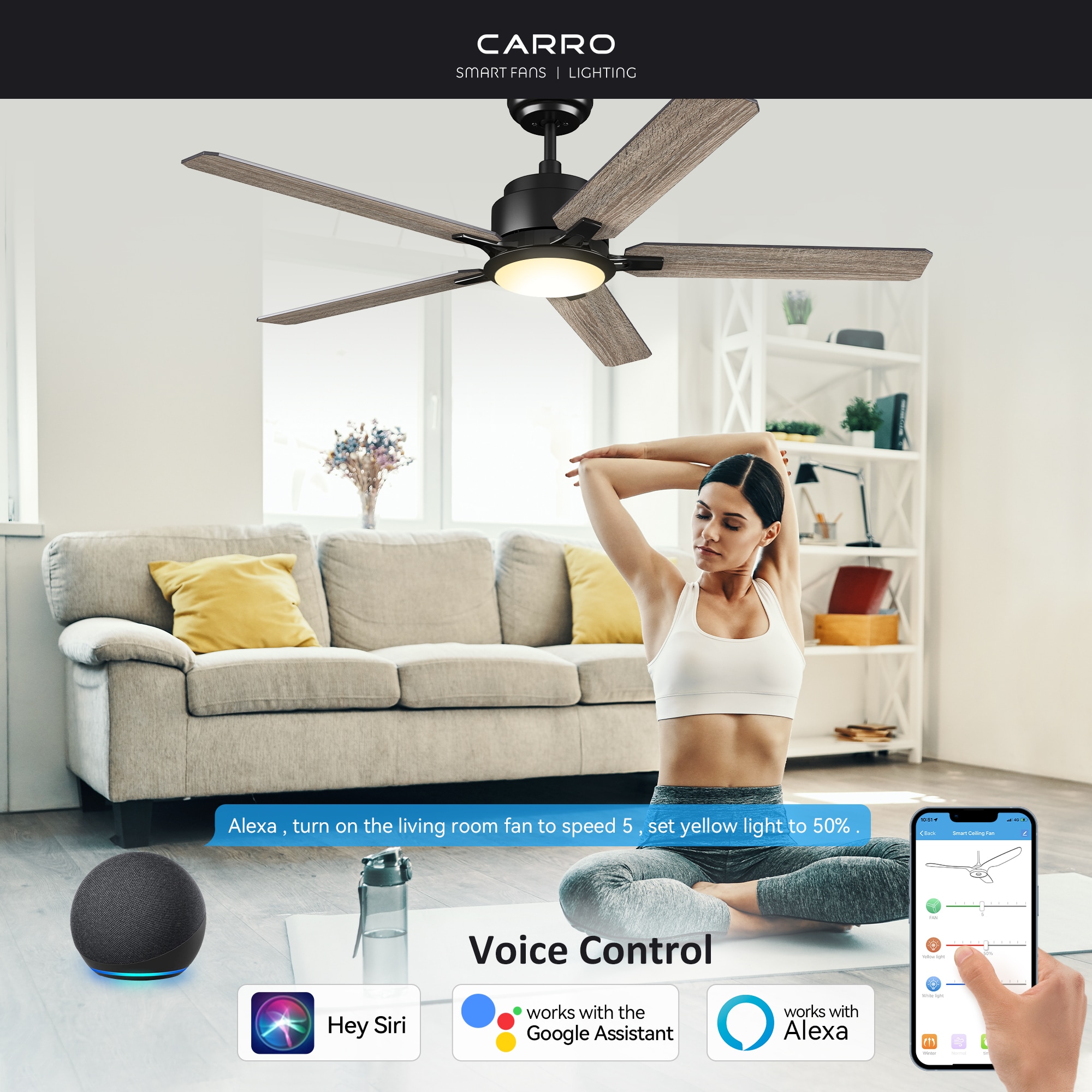 CARRO USA Essex 56-in Black with Gray Oak Blades Indoor/Outdoor Smart Ceiling Fan with Light and Remote (5-Blade) LS565J-L12-BO-1 Sansujyuku sansujyuku.com