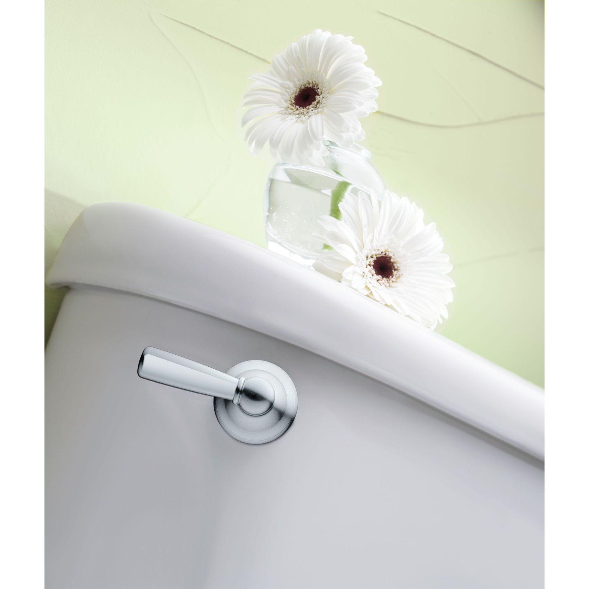 Moen DN6801CH Flush-Lever - View #2