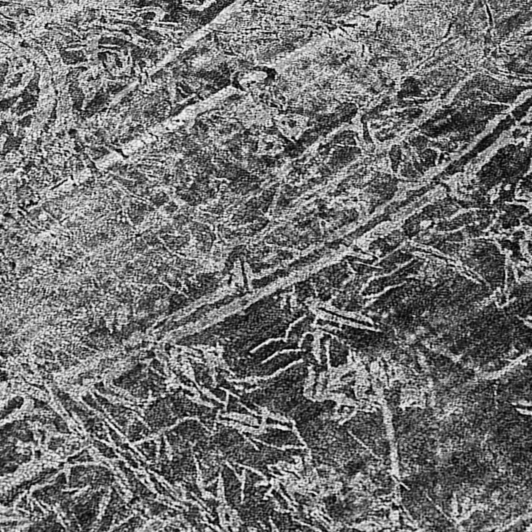 Addison Rugs ACN559GY3X5 rugs - View #3