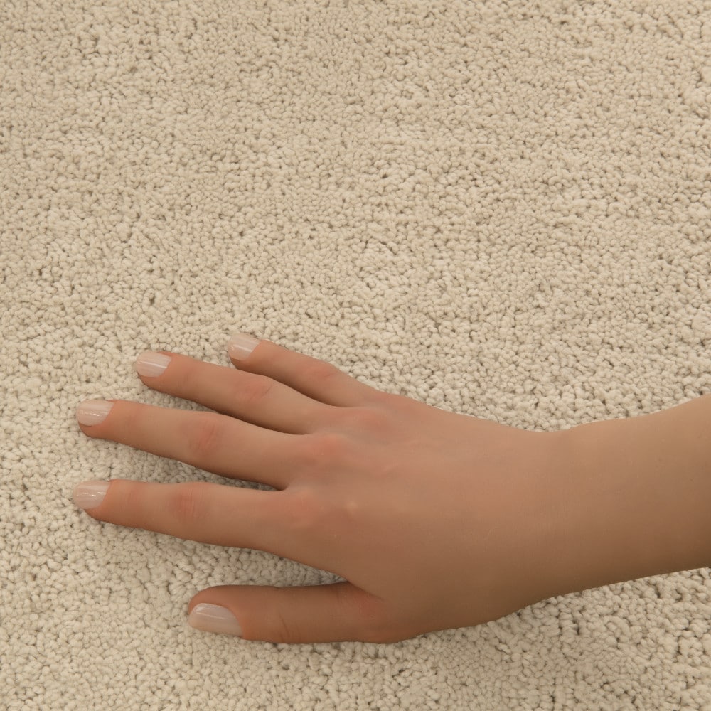 STAINMASTER 7L992-112-SAMP Carpet-Samples - View #5