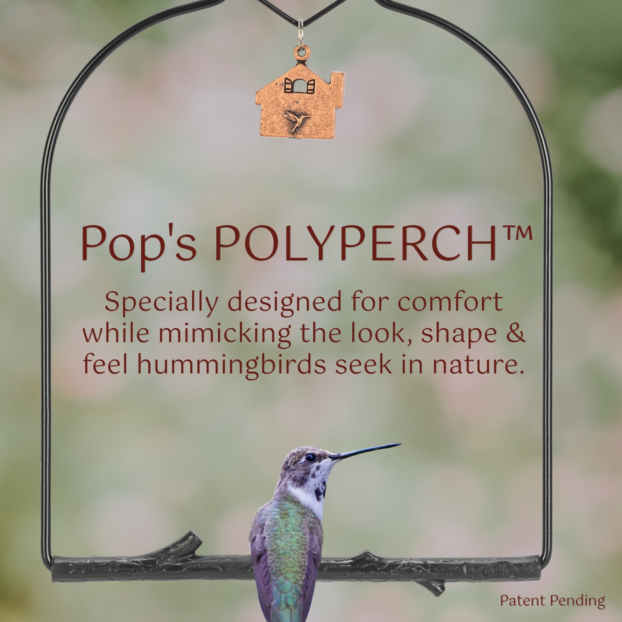Pop's Birding CHO-CWBL Bird-Feeder-Accessories - View #5