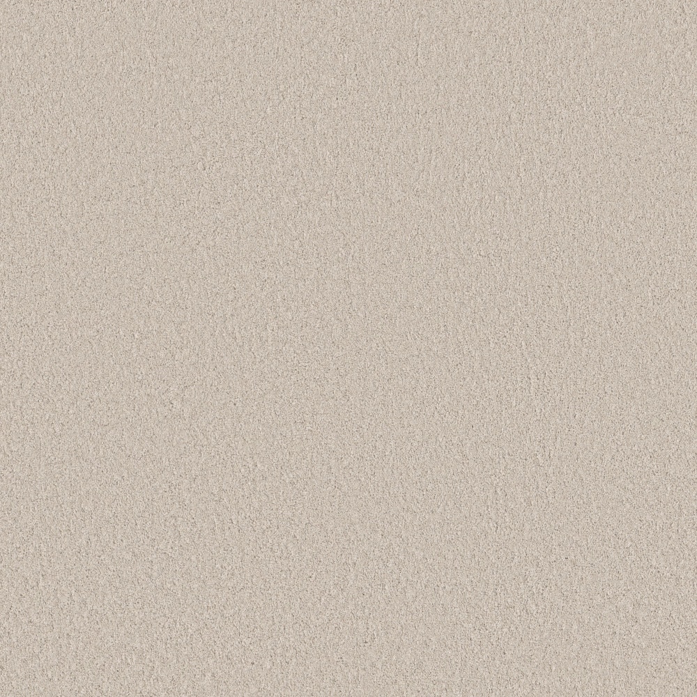 STAINMASTER PetProtect 7L972-101-SAMP (Sample) 8-in x 8-in with LeakDefense Happy Howling III Soft Sense Brown 82.9-oz sq yard High-performance polyester Textured Indoor Carpet