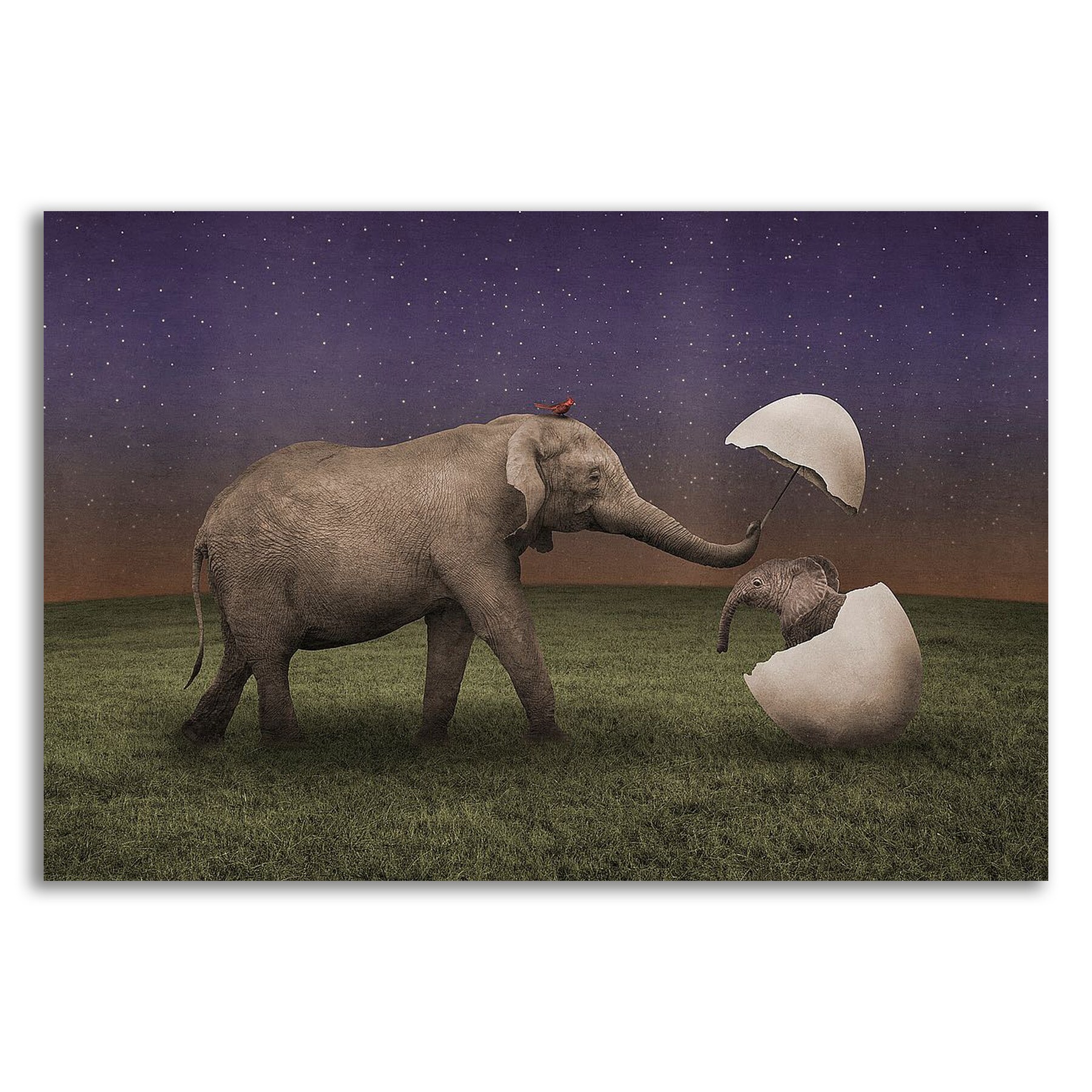 Tangletown Fine Art 8N354DC-4530 Wall-Art - View #2