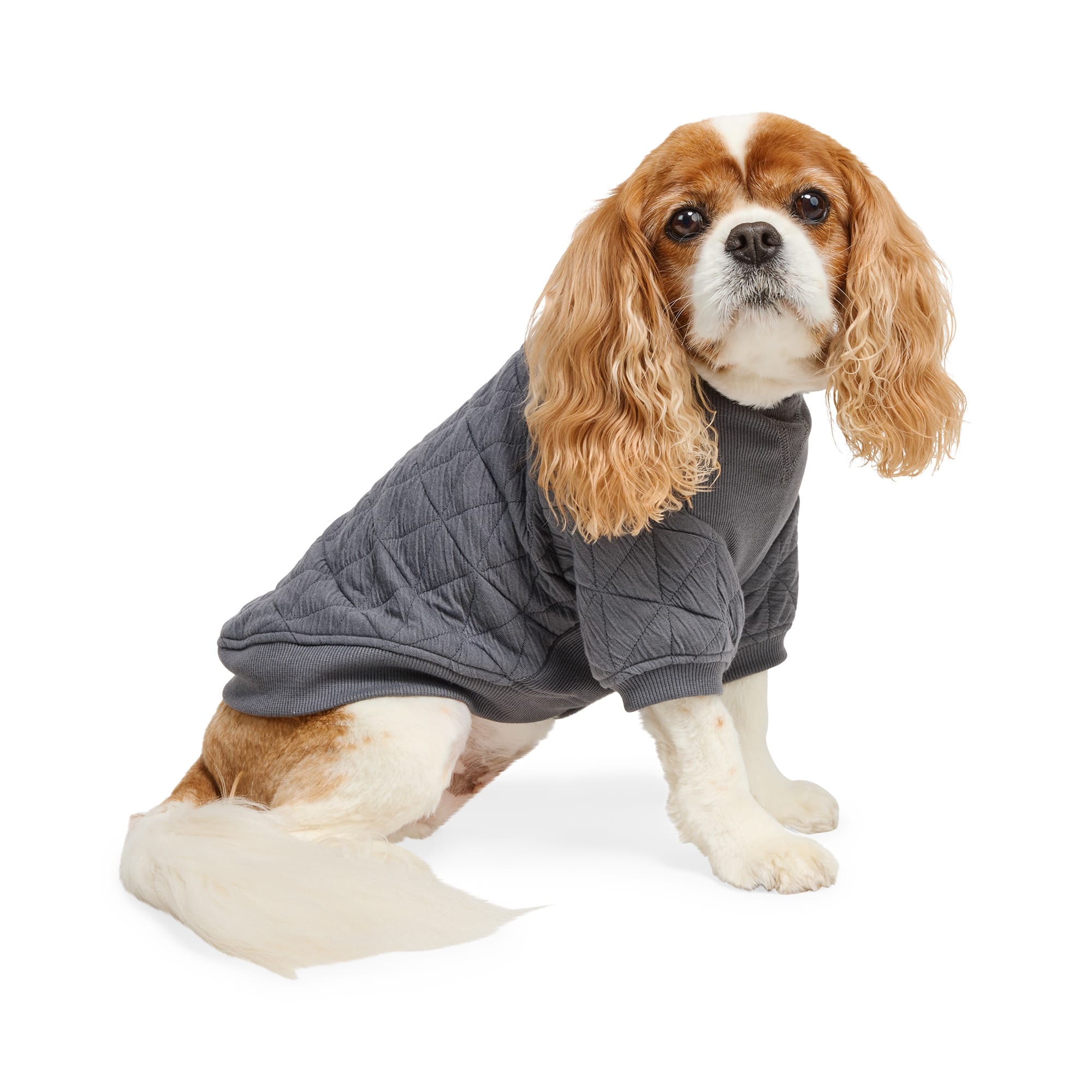 Reddy 25P015-L Dog-Clothing-Acc - View #3