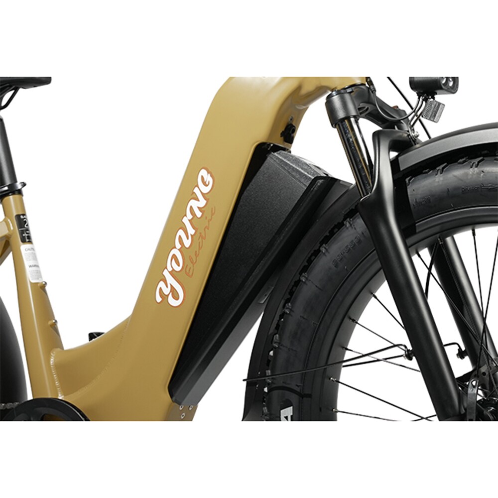 Young Electric 12803024YL bikes - View #10