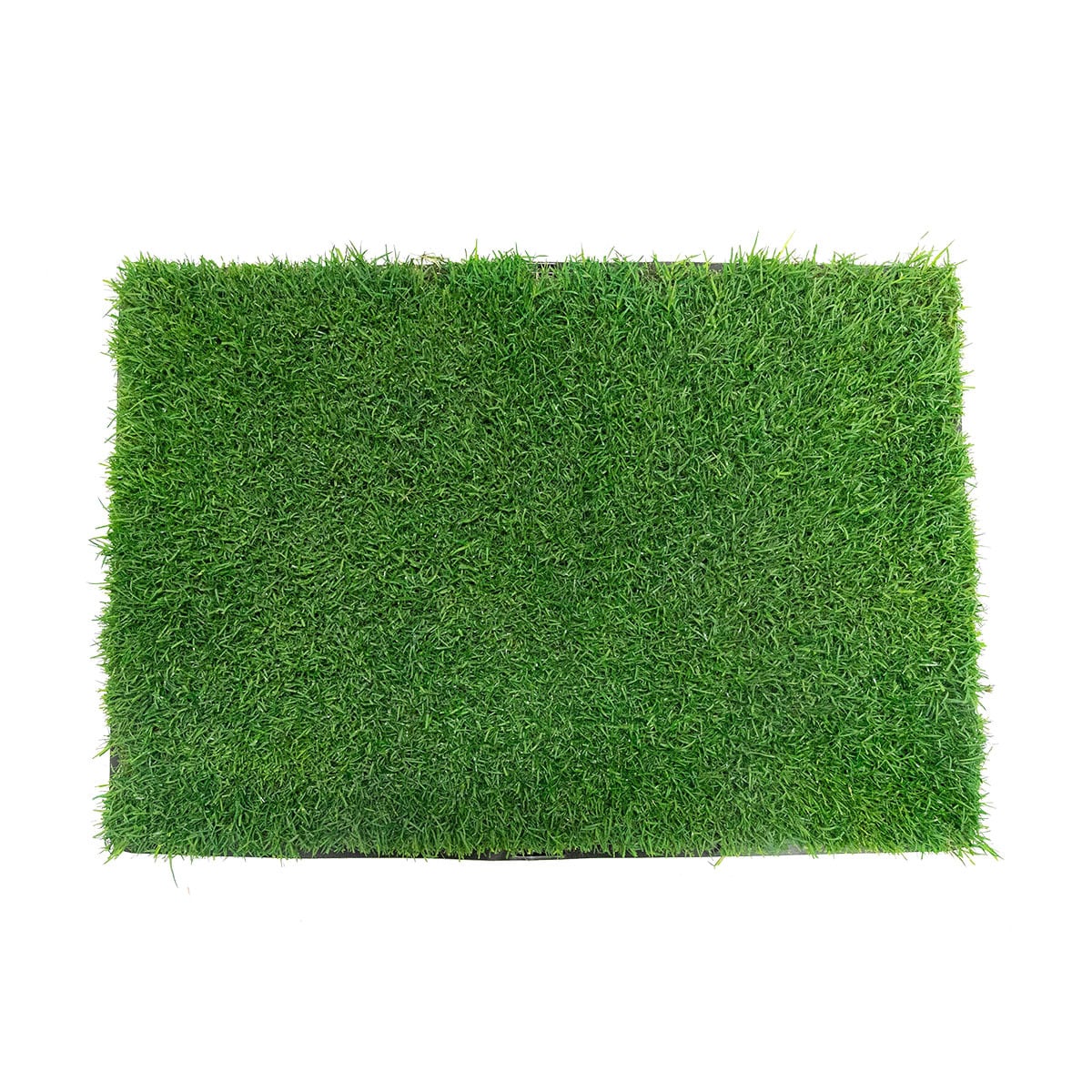 Gotta Go Grass GGGBUNDLE10 Pet-Sod-Pieces - View #5