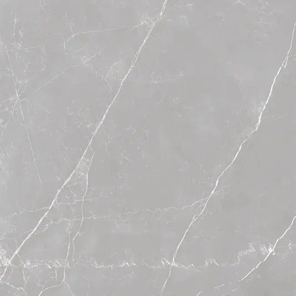 Apollo Tile Sample - Regalia Ash Gray 4-in x 5-in Matte Porcelain Encaustic Floor and Wall Tile