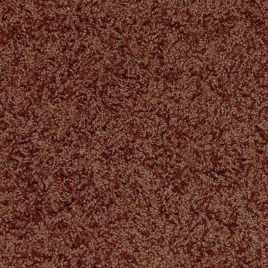 STAINMASTER 5727-421 Gallery Burgundy Shag/Frieze Indoor Carpet