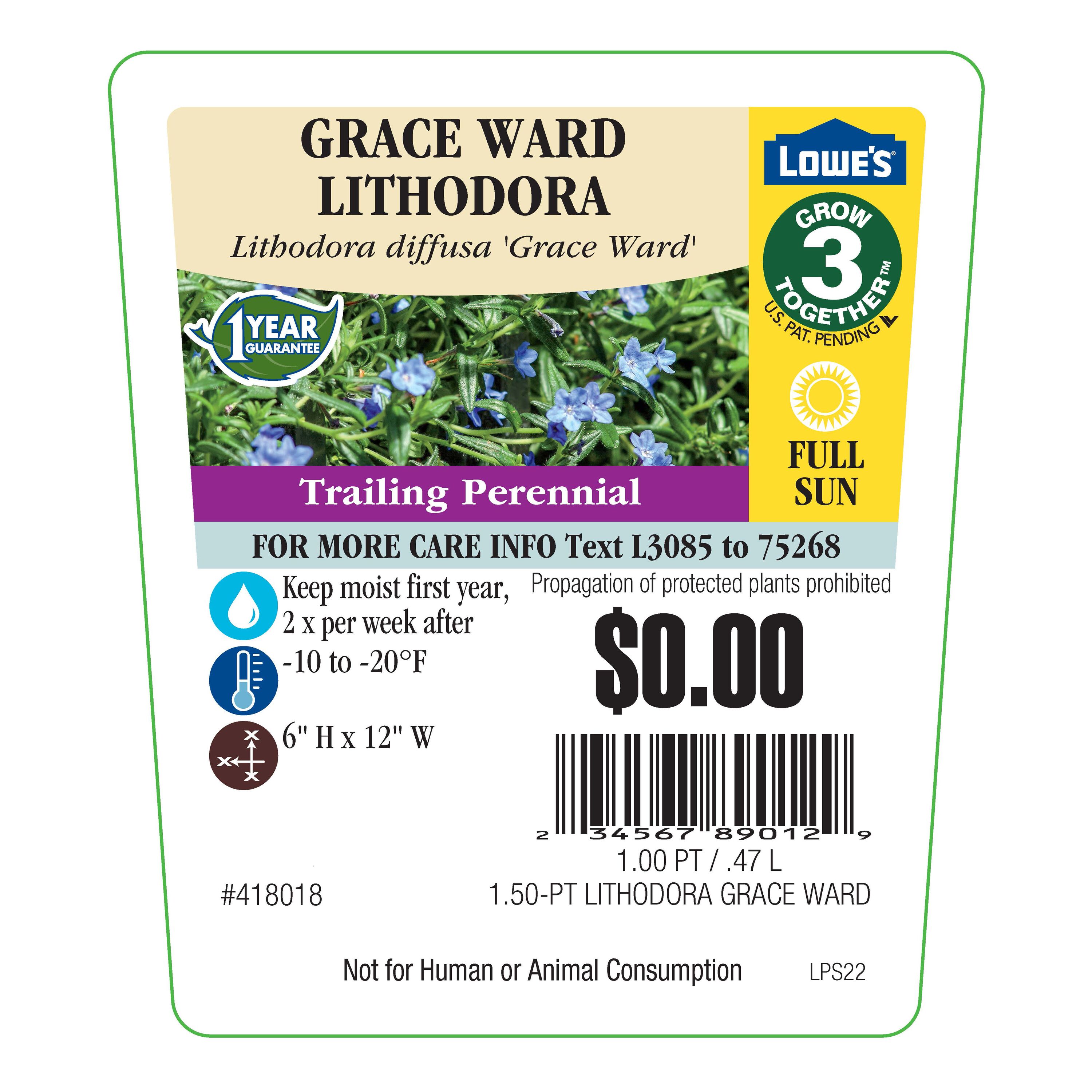 Lowe's 418018 perennials - View #4