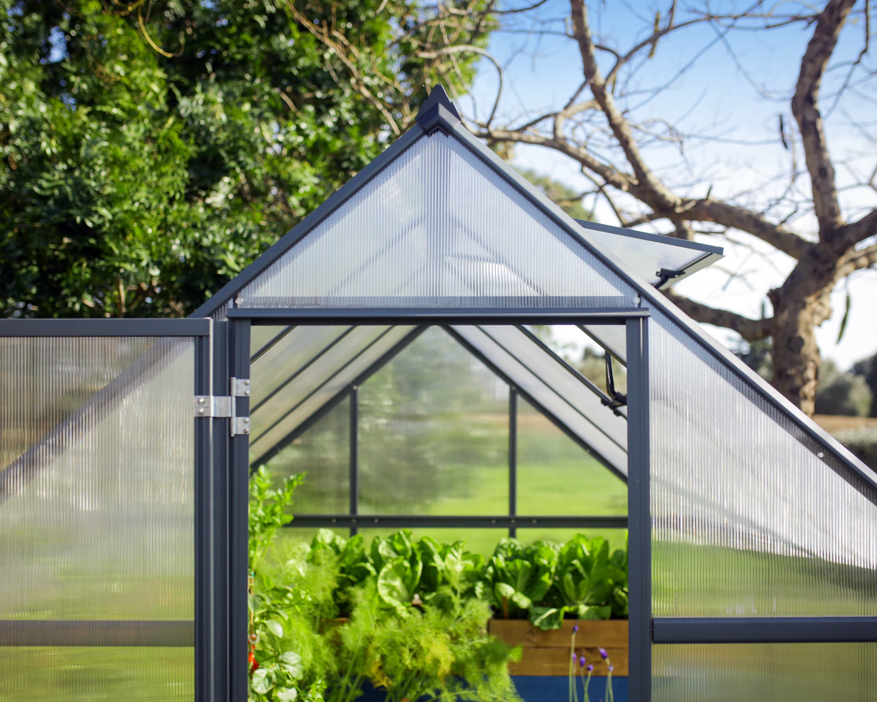 Canopia by Palram 705897 greenhouses - View #12